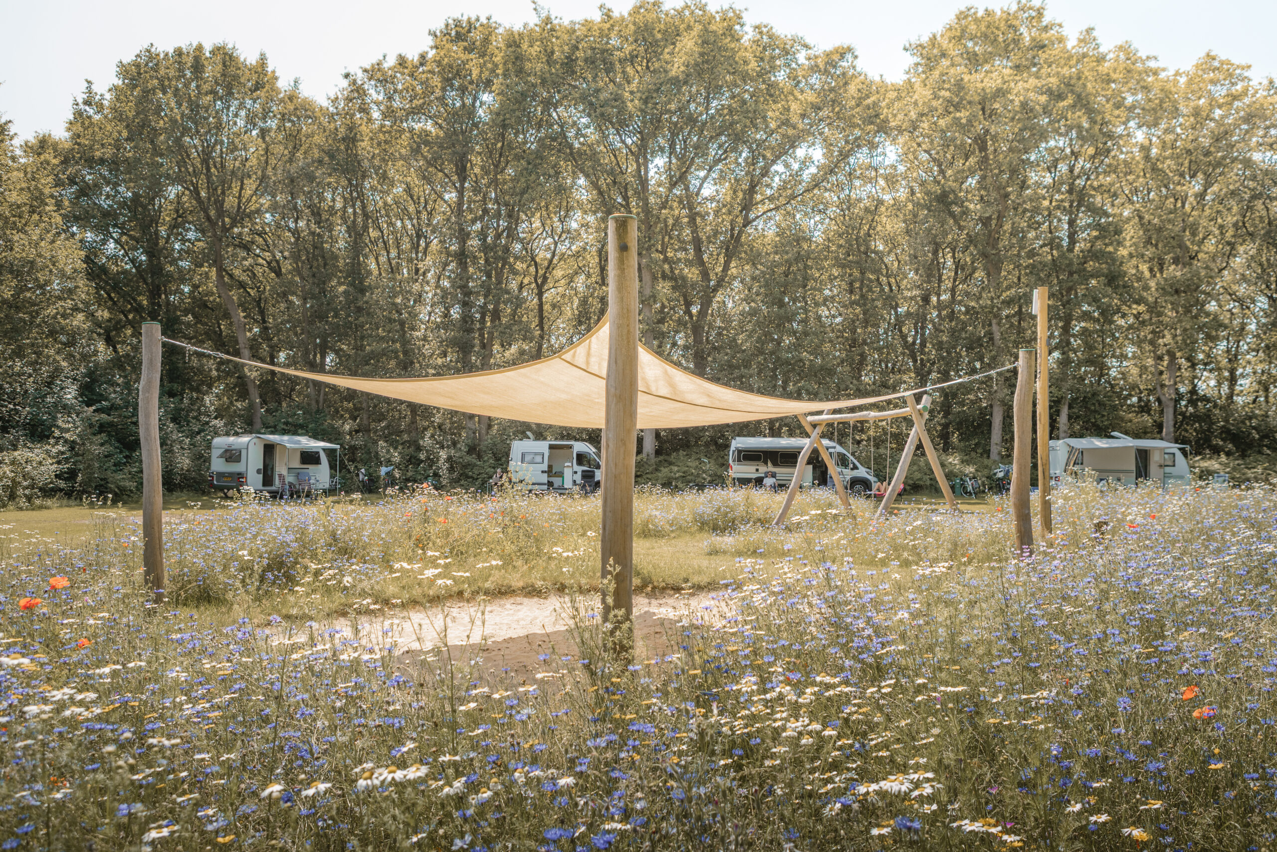 Speelplekje op de Bloemenweide bij natuurcamping Lemeler Esch