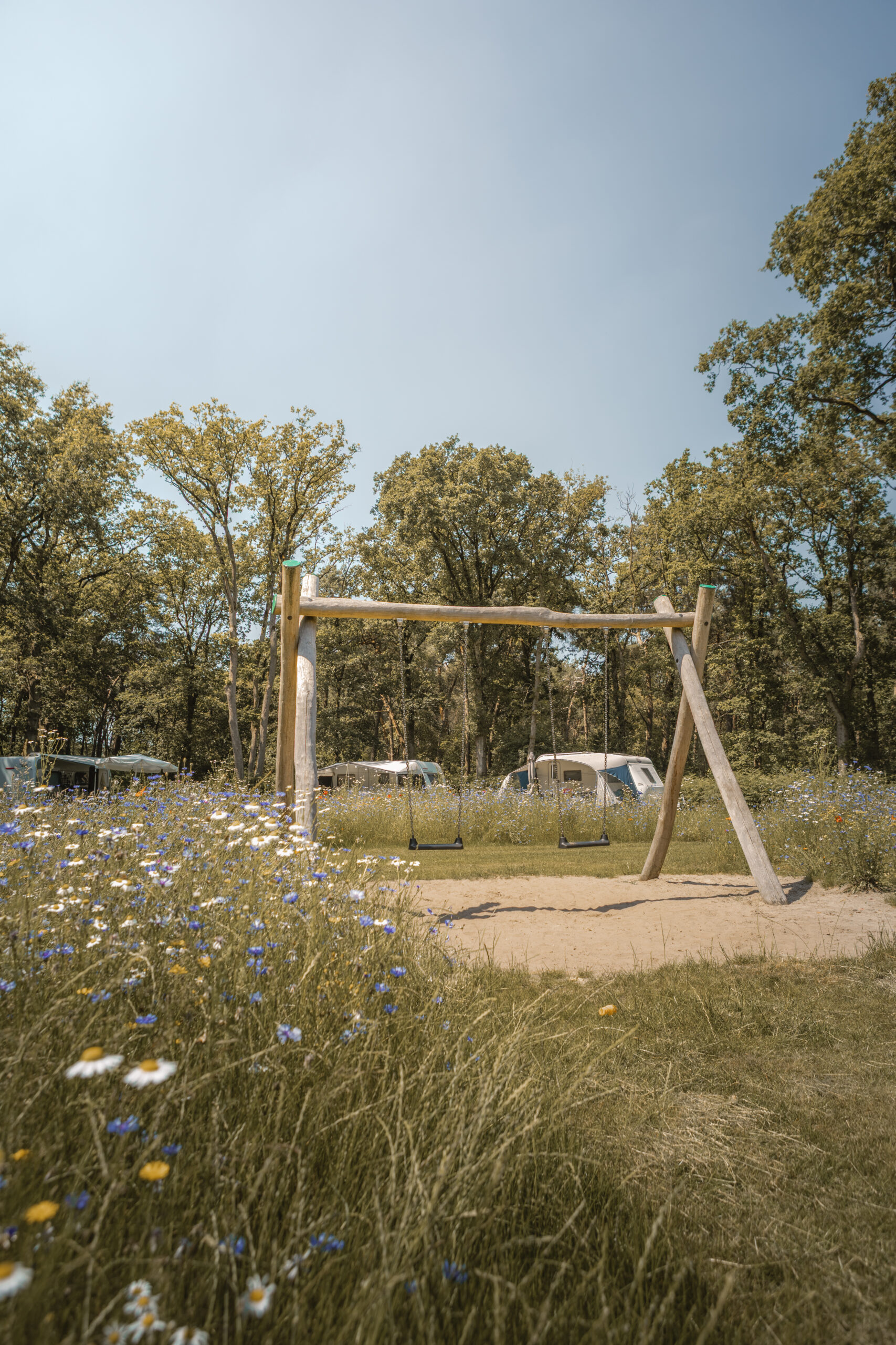 Schommel op de Bloemenweide bij natuurcamping Lemeler Esch