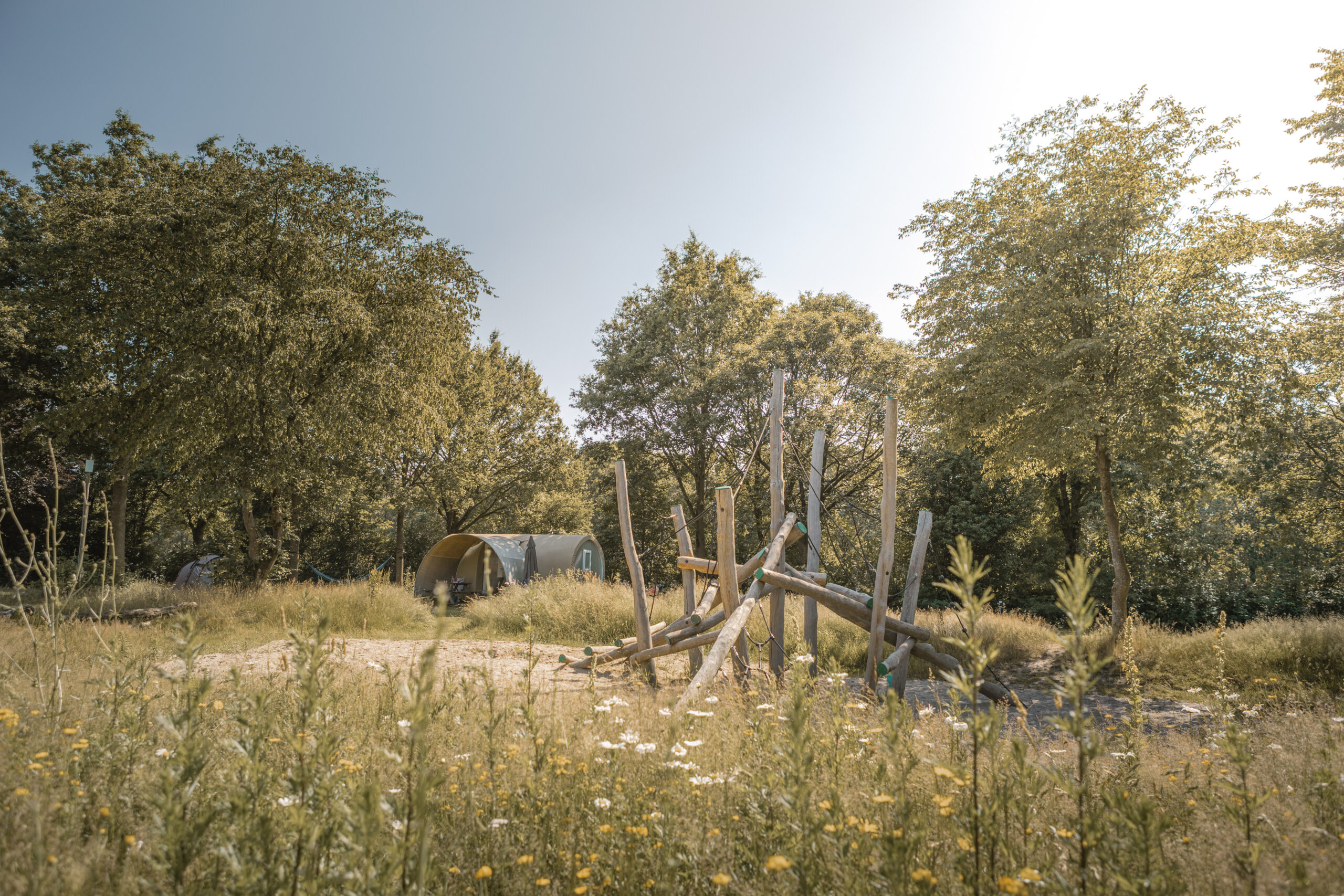 Speeltoestel op de Bloemenweide bij natuurcamping Lemeler Esch