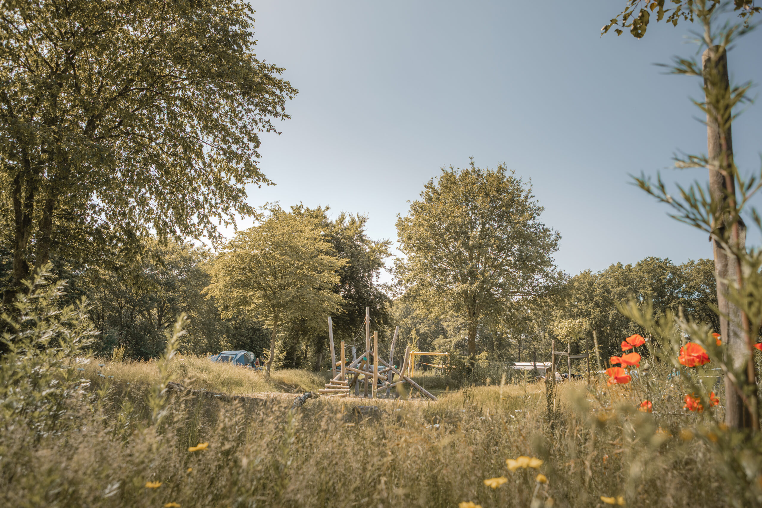 Speeltoestel op de Bloemenweide bij natuurcamping Lemeler Esch
