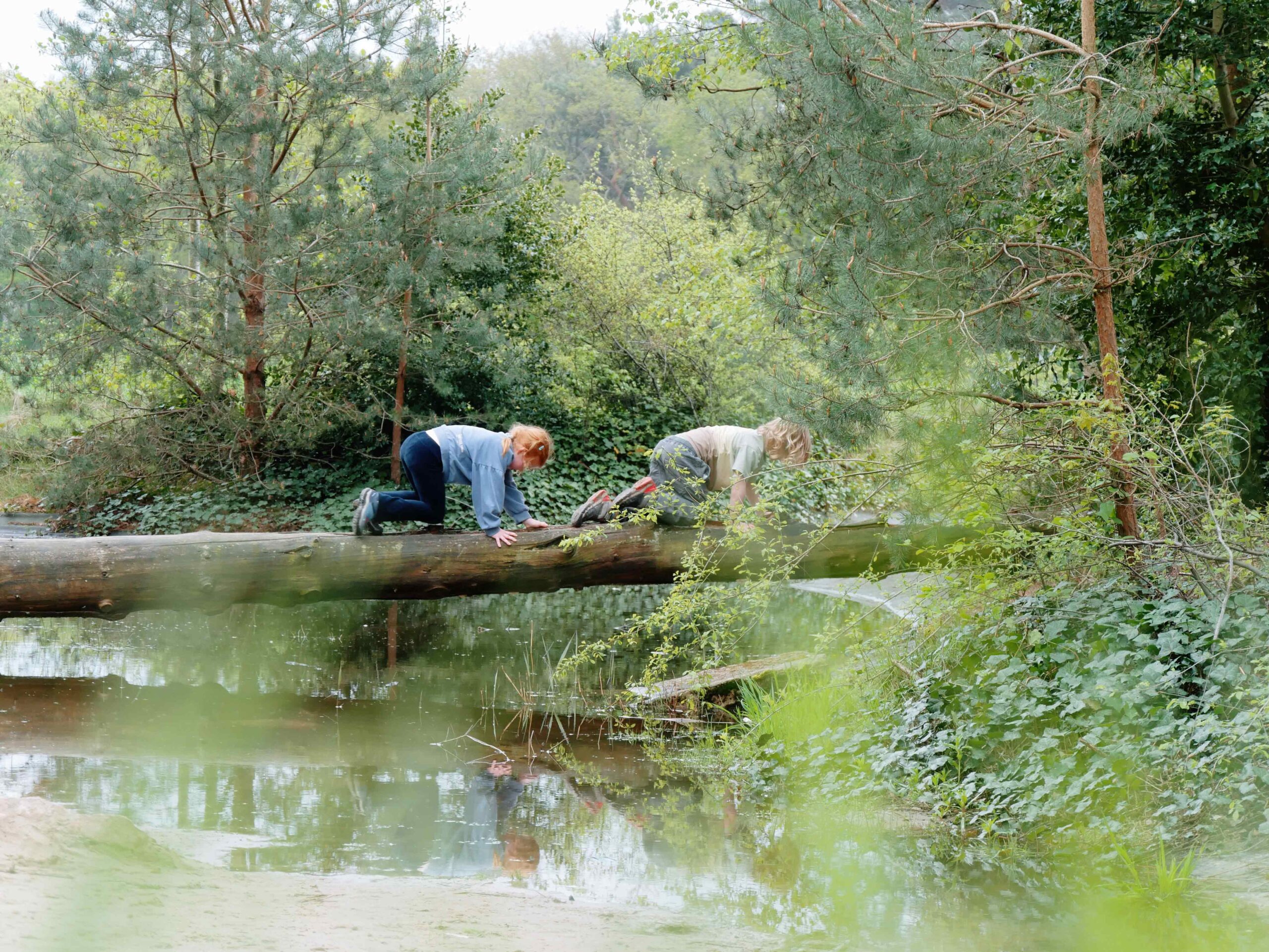Kinderen spelen bij speelwater speelwater van Lemeler Esch natuurcamping