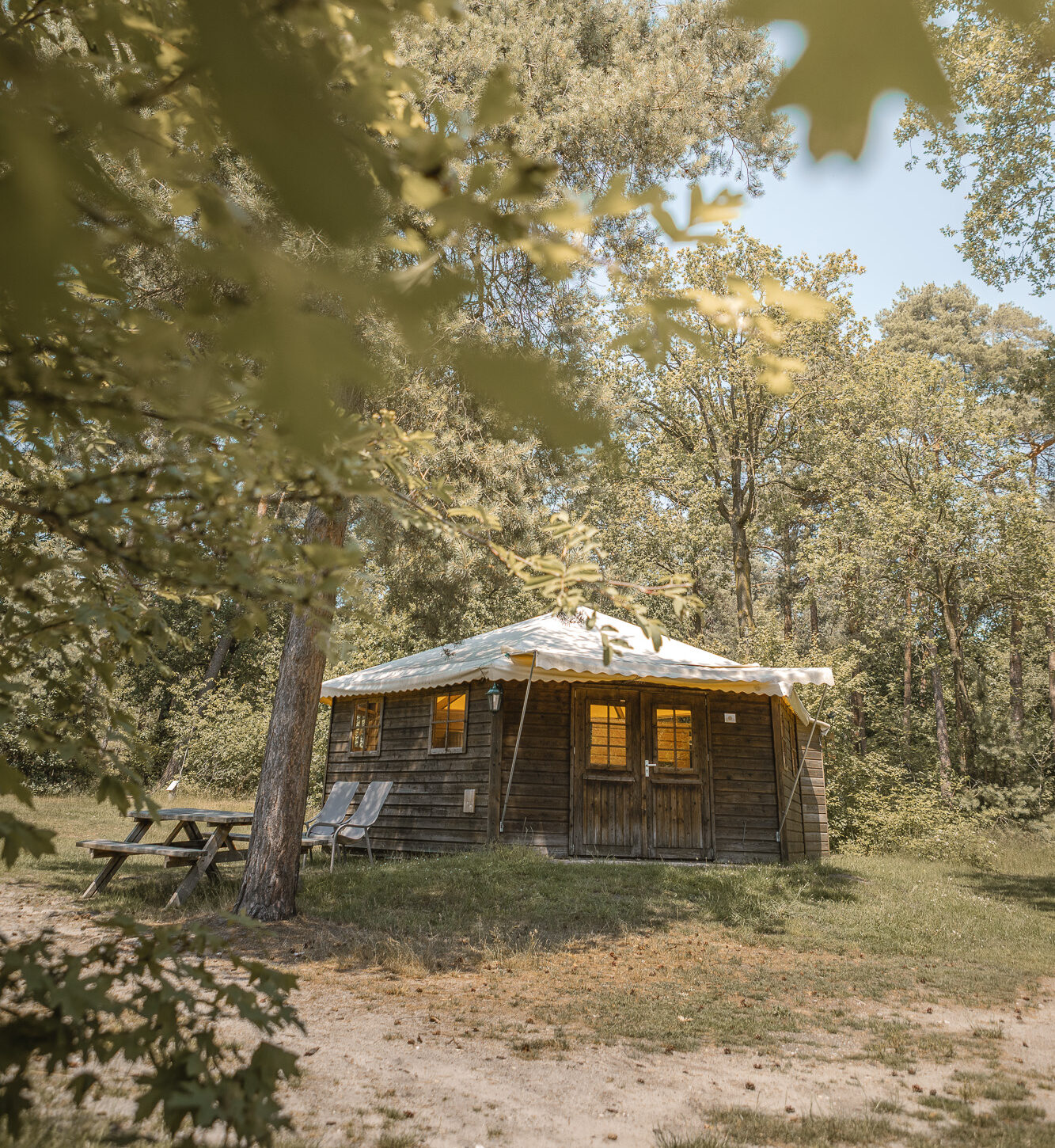 Boslodge aan de bosrand bij natuurcamping Lemeler Esch in Overijssel