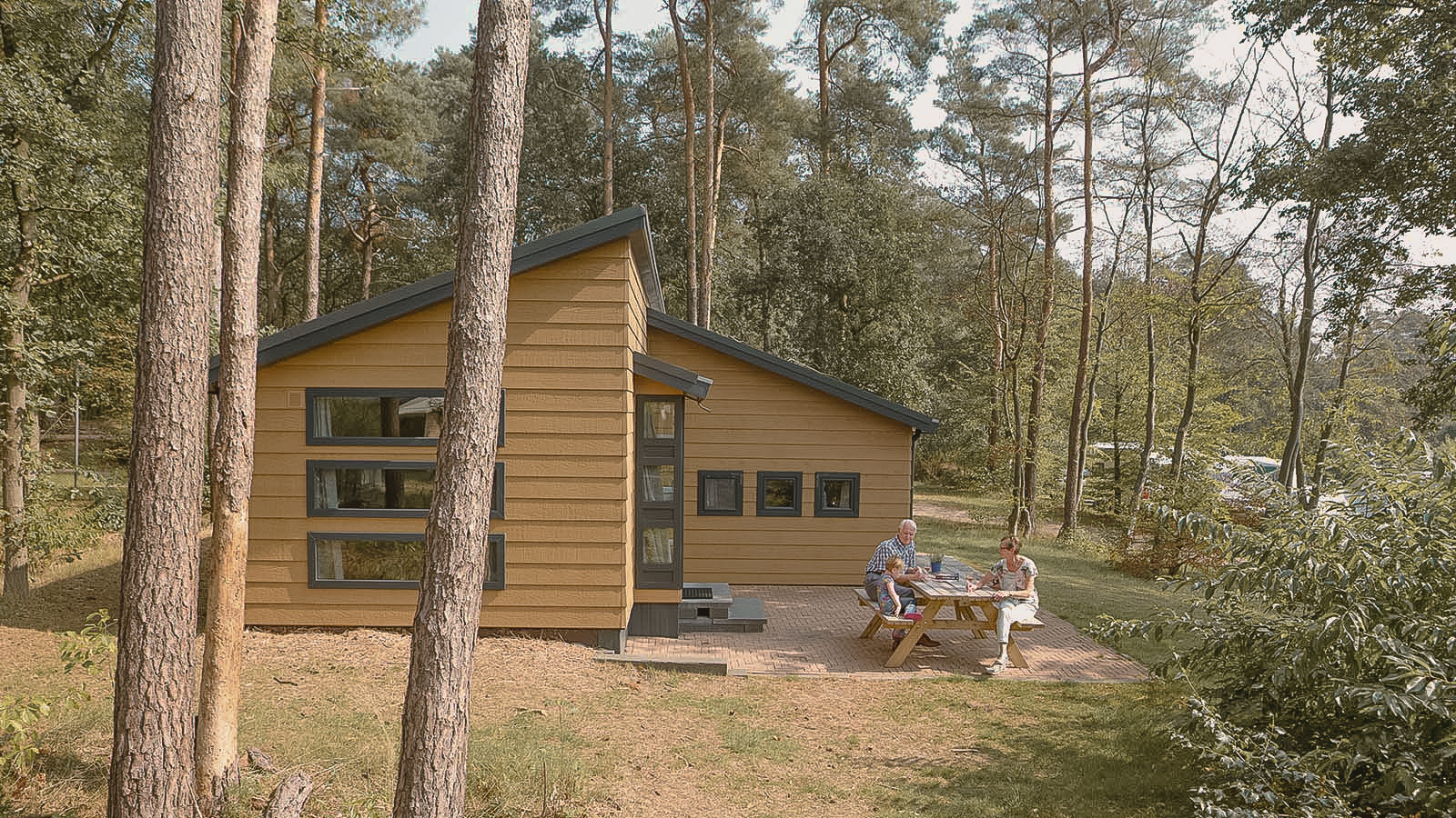 Bungalow in de zomer bij natuurcamping Lemeler Esch
