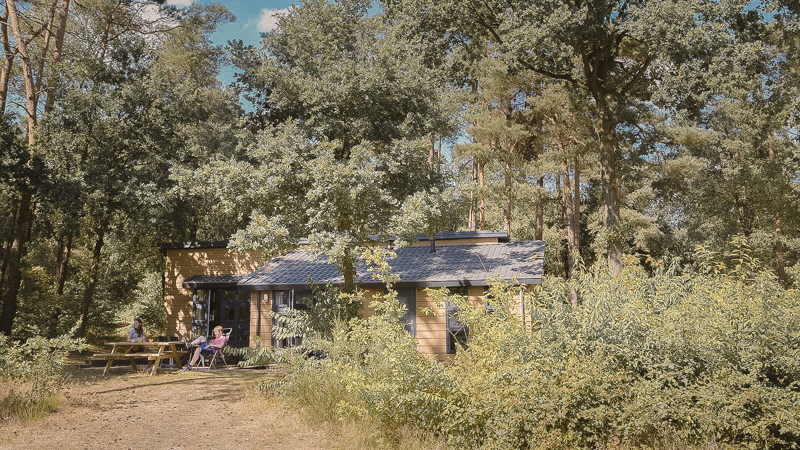 Bungalow in de zomer bij natuurcamping Lemeler Esch