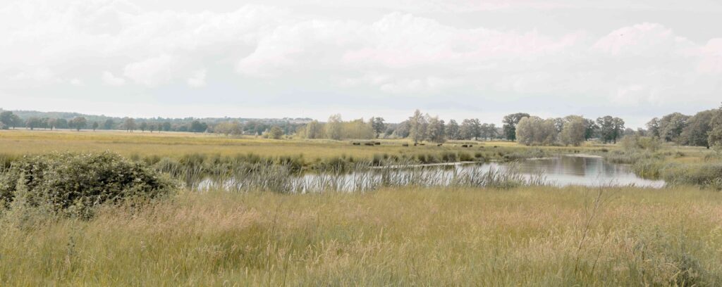 Verborgen plekjes in de buurt