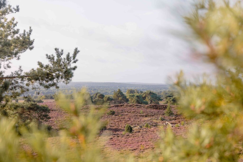 Zo 1 nov. | Loop voor Landschap 2026