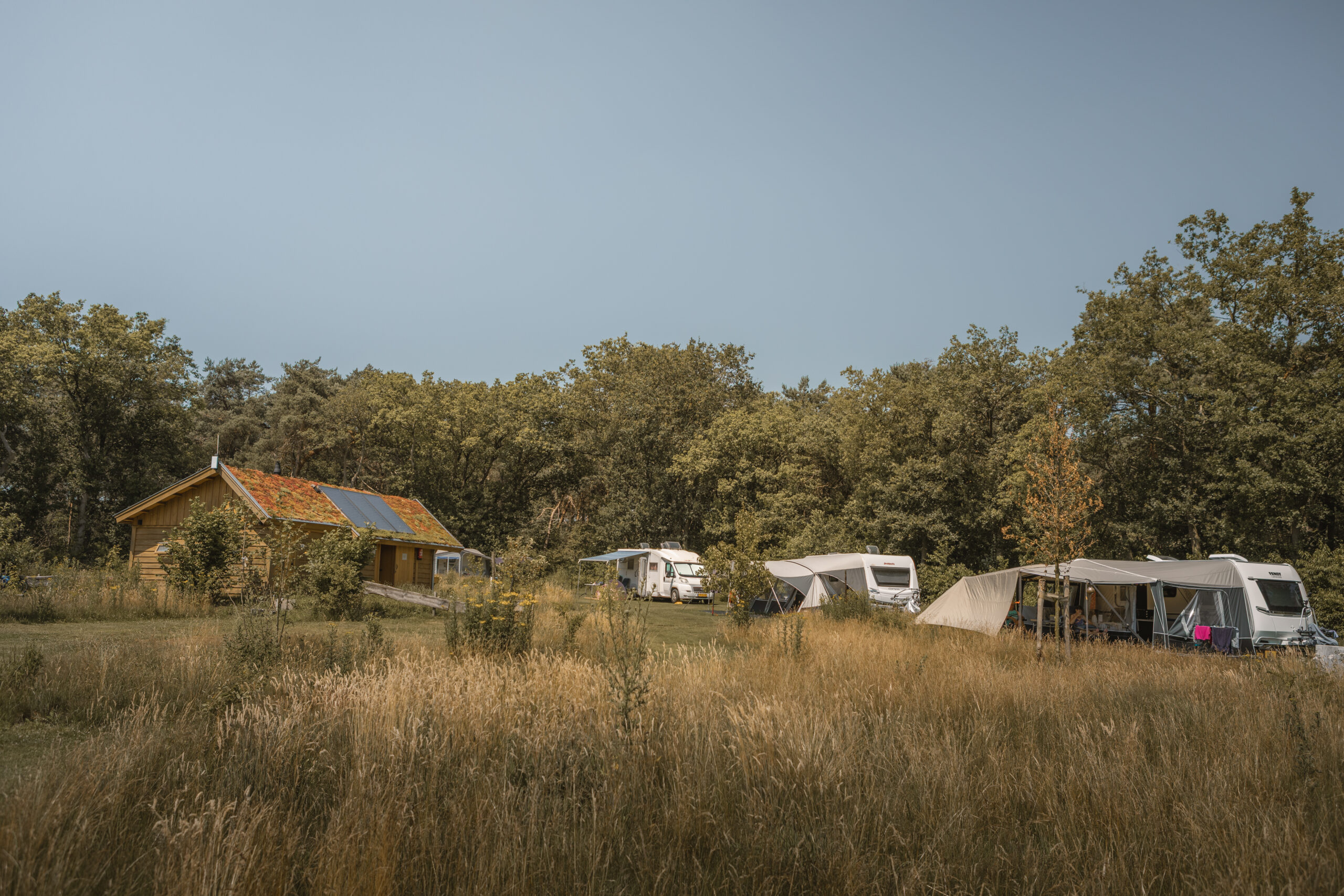 Kamperen met zicht op de heide bij natuurcamping Lemeler Esch