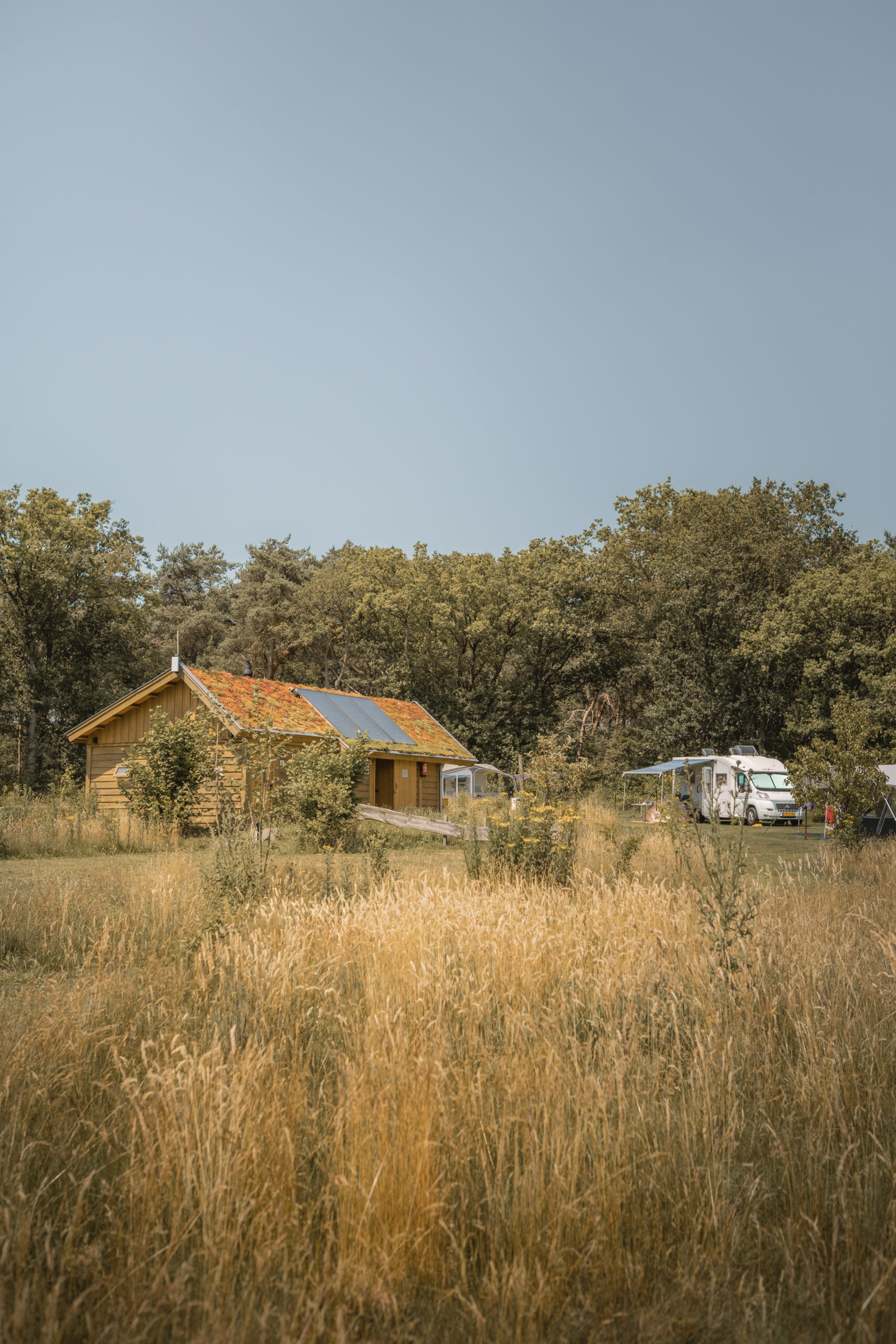 Kamperen met zicht op de heide bij natuurcamping Lemeler Esch