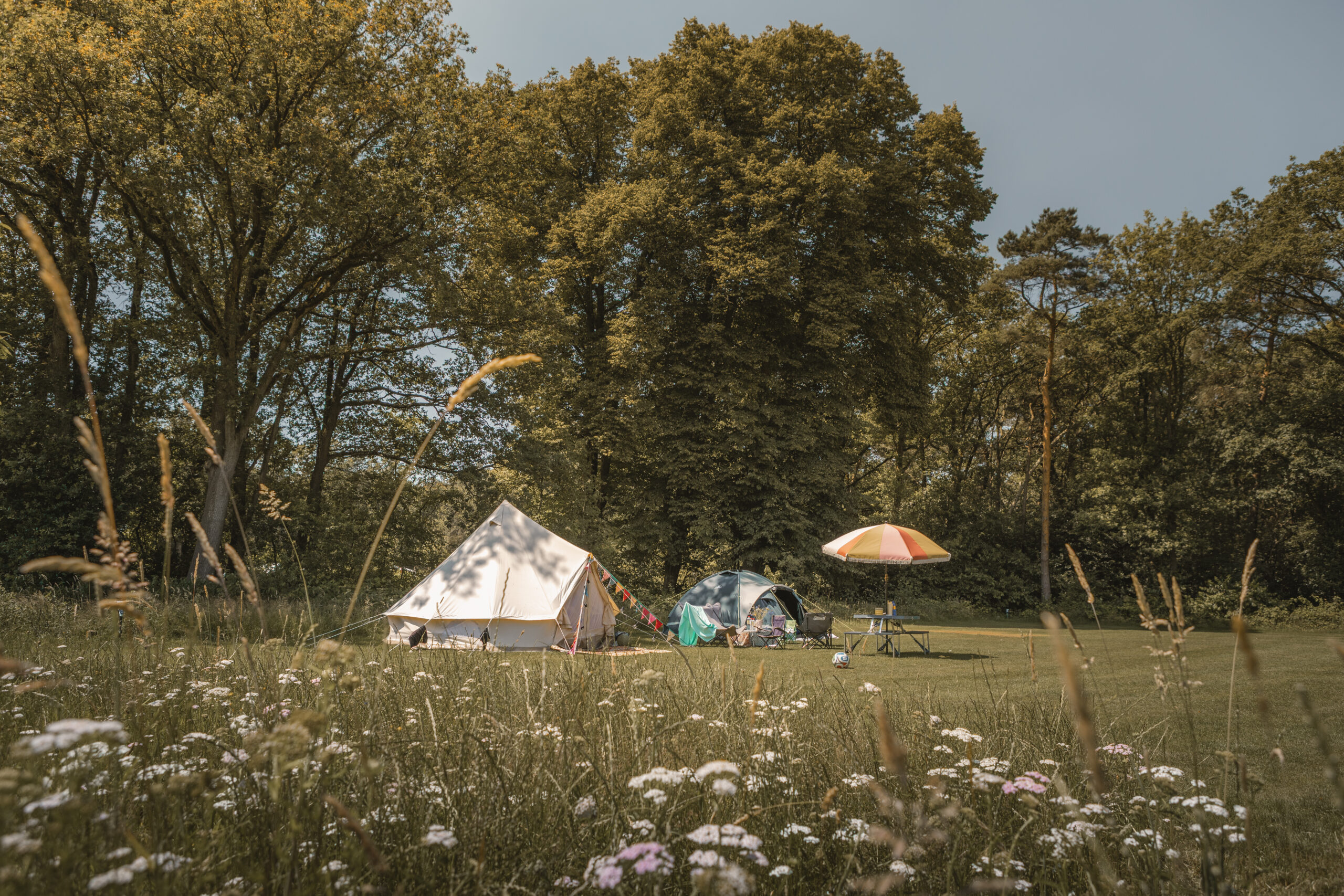 Kamperen op de Akker bij natuurcamping Lemeler Esch