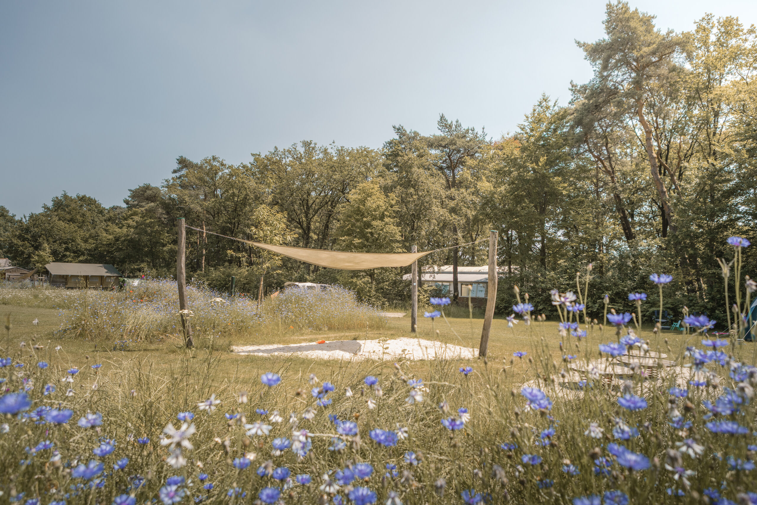 Speeltoestel op de Akker bij natuurcamping Lemeler Esch