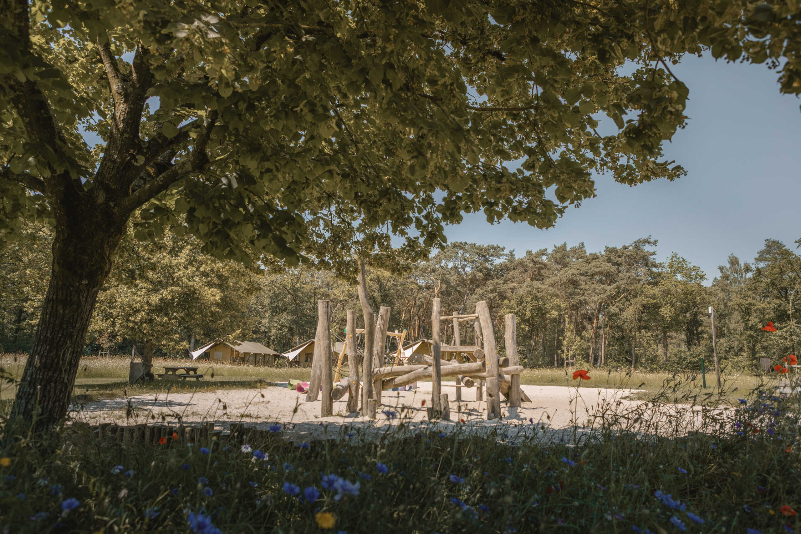Speeltoestel op de Akker bij natuurcamping Lemeler Esch