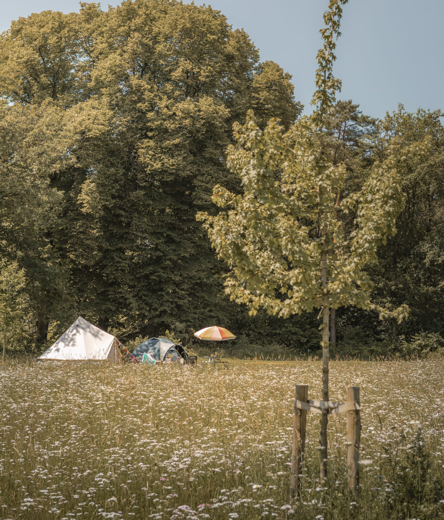 Kamperen op de Akker bij natuurcamping Lemeler Esch