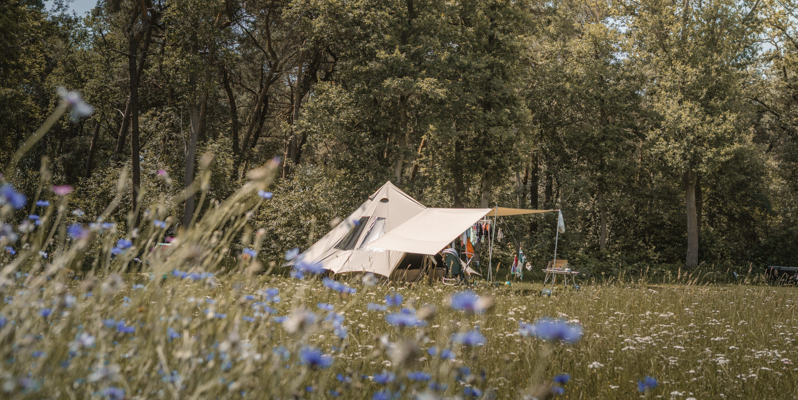 Kamperen op de Akker bij natuurcamping Lemeler Esch