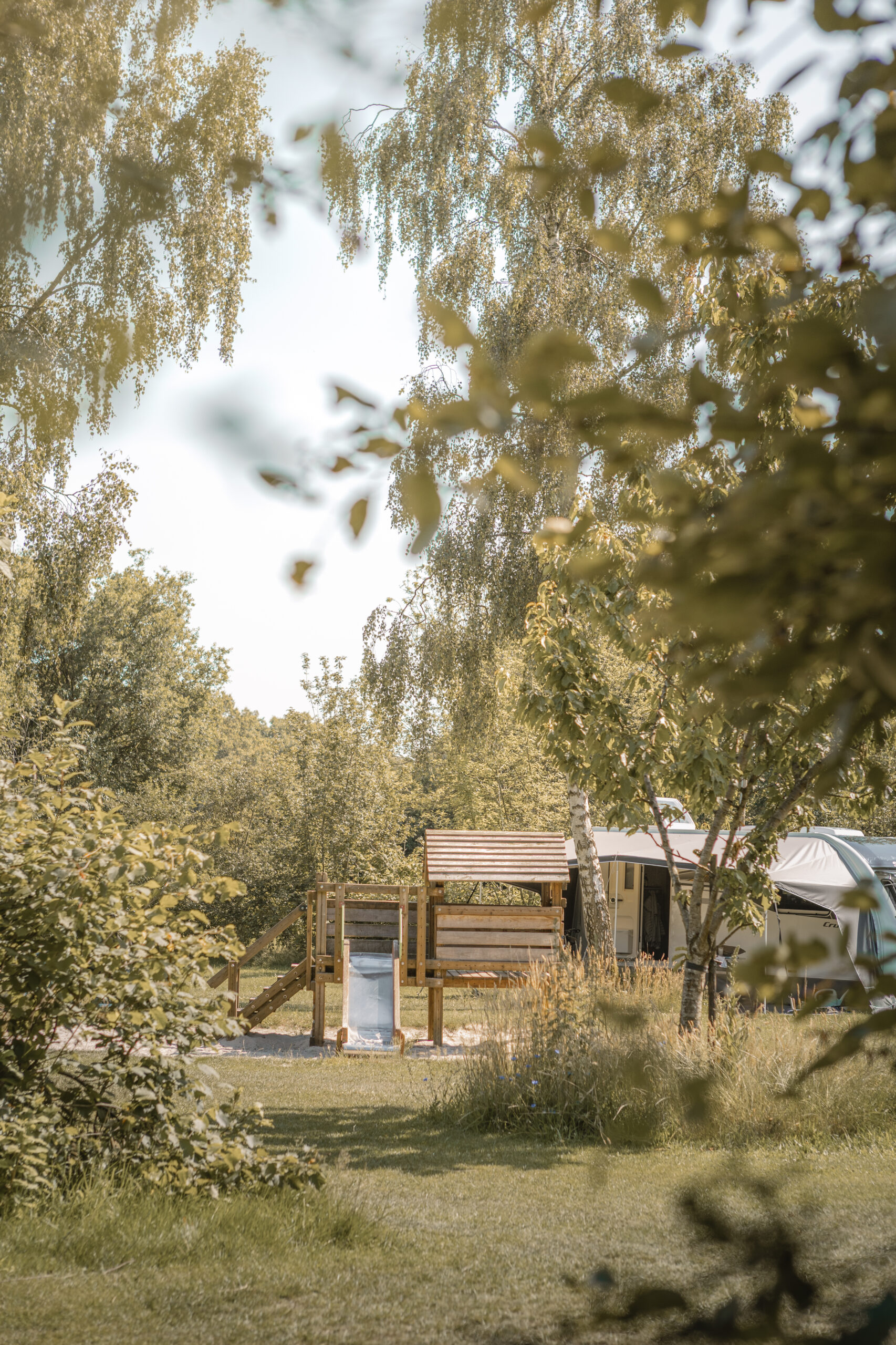 Kamperen op de Boomgaard bij natuurcamping Lemeler Esch