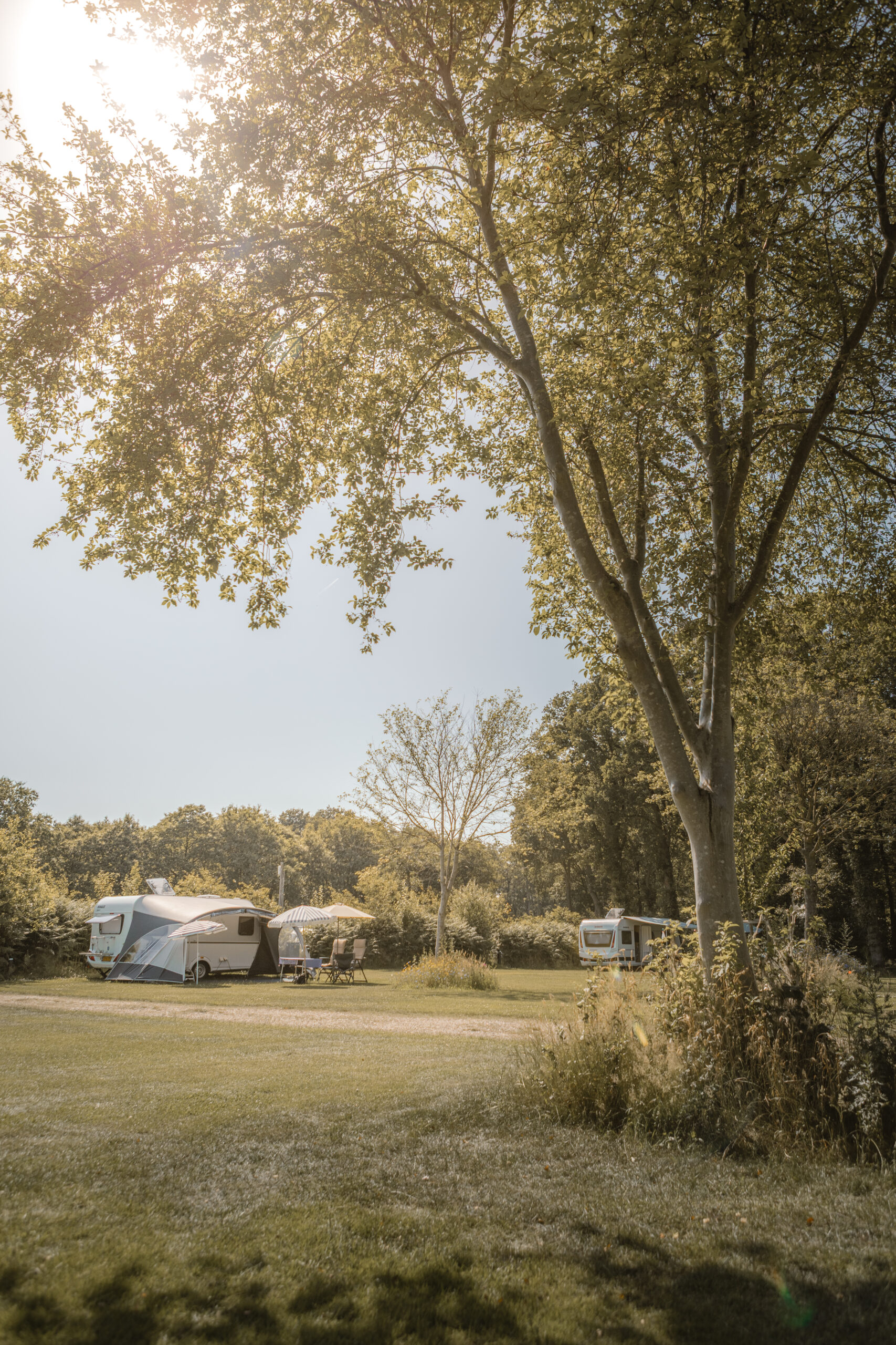 Kamperen op de Boomgaard bij natuurcamping Lemeler Esch