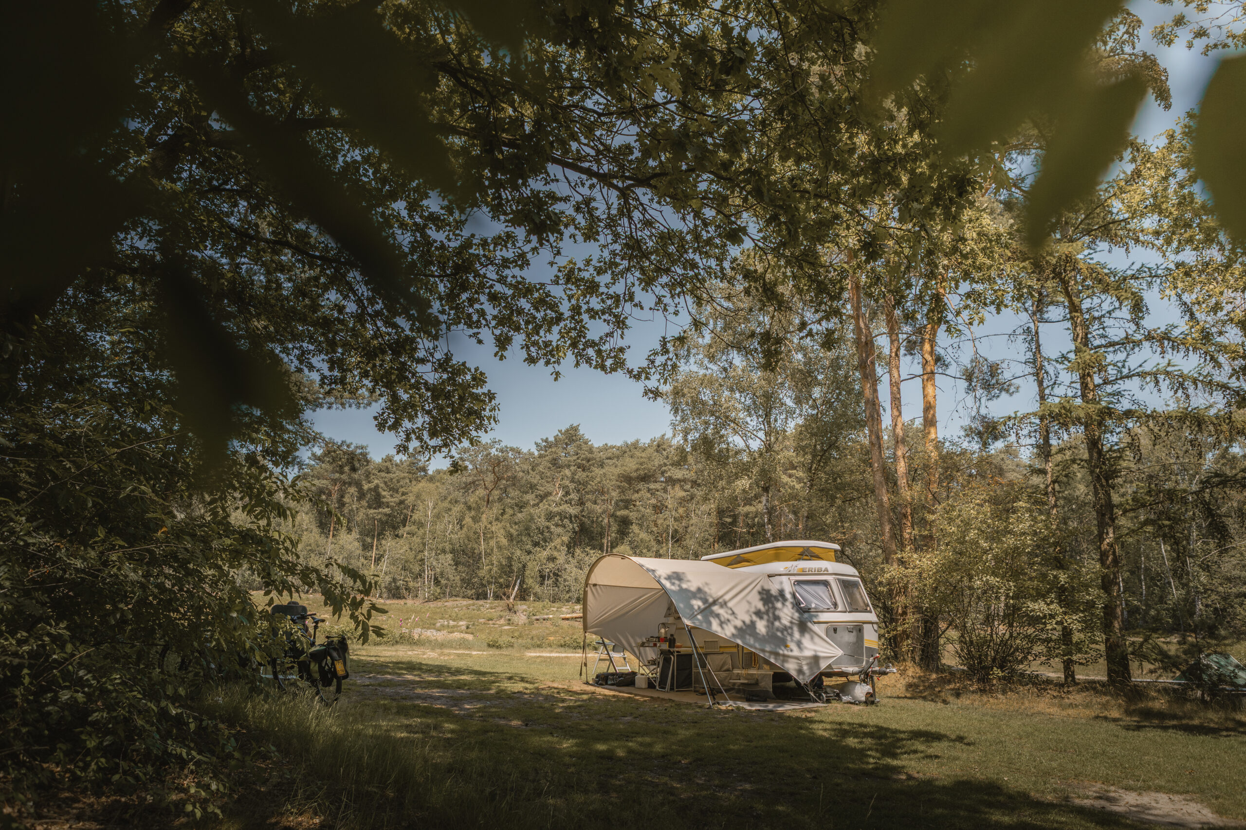 Kamperen op de bosplaats bij natuurcamping Lemeler Esch