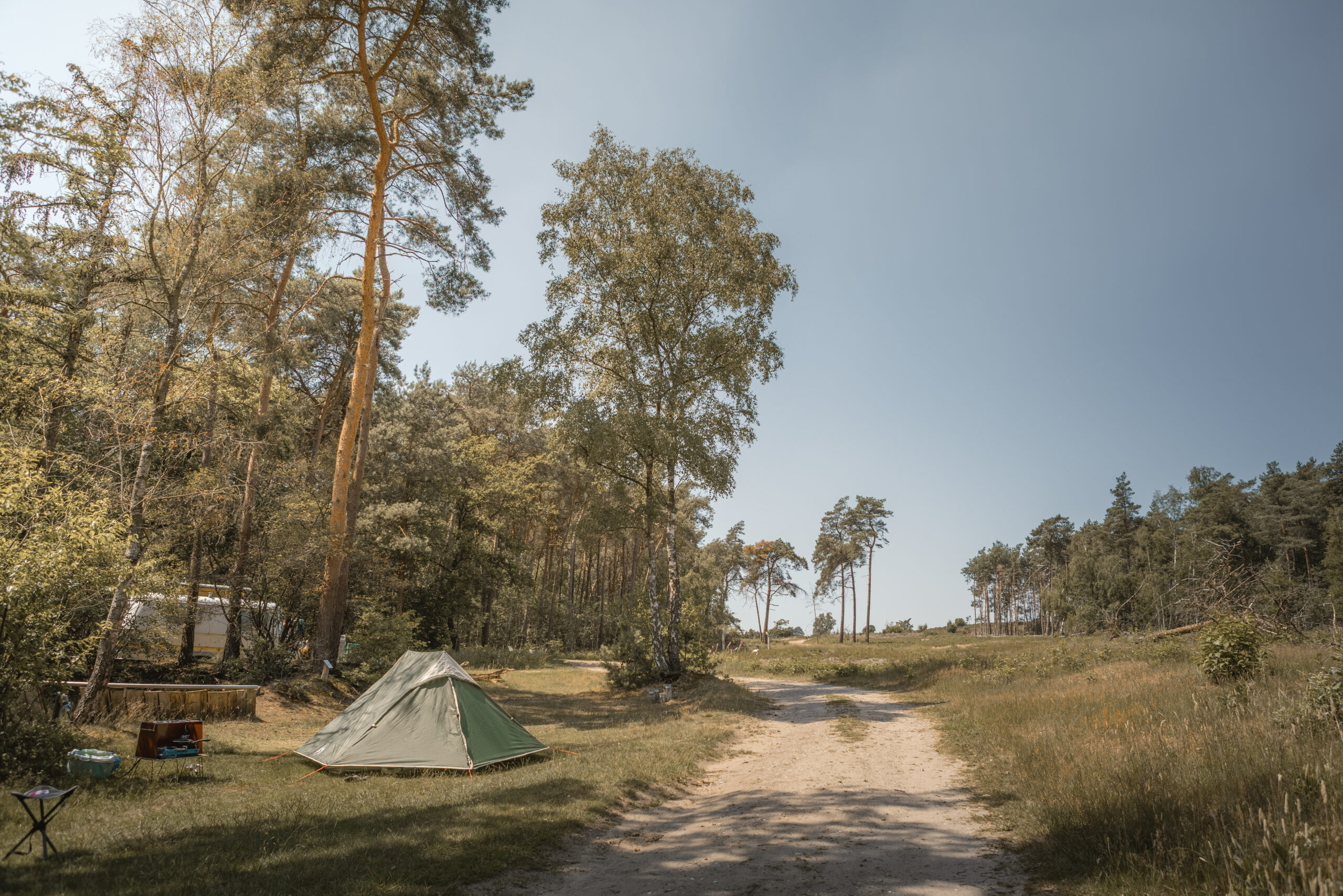Kamperen op de bosplaats bij natuurcamping Lemeler Esch
