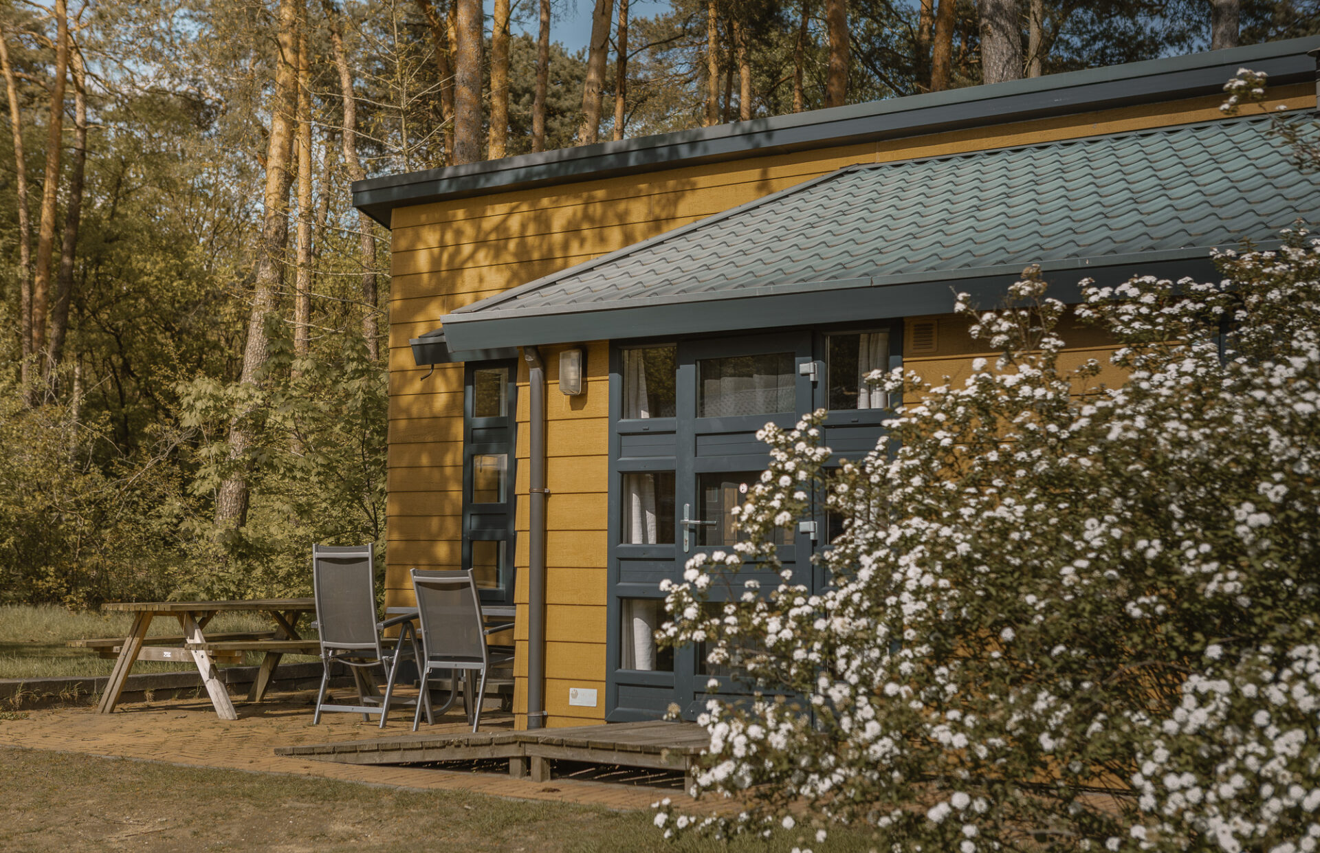 Lente bij bungalow op natuurcamping Lemeler Esch