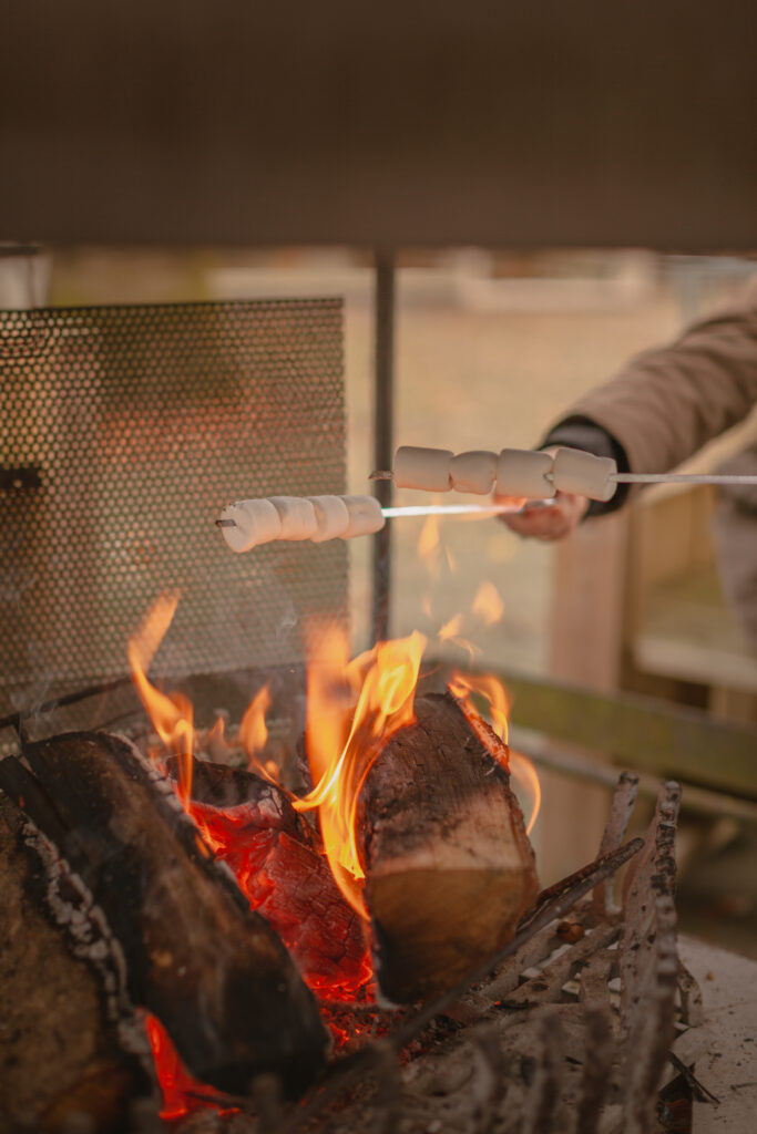 🌲 Activiteiten in de kerstvakantie
