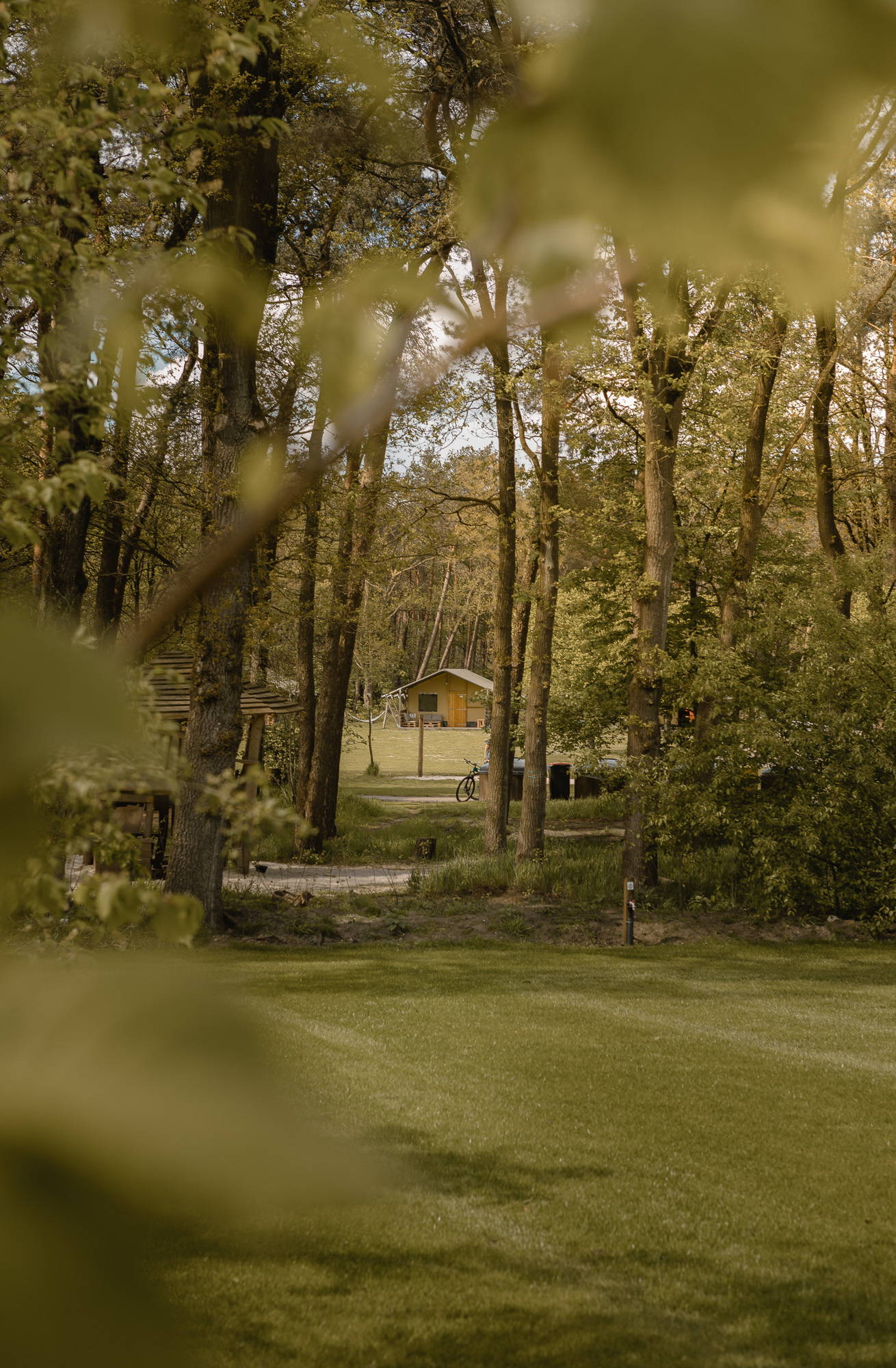 Buitenkant van de Lodgetent bij Lemeler Esch natuurcamping