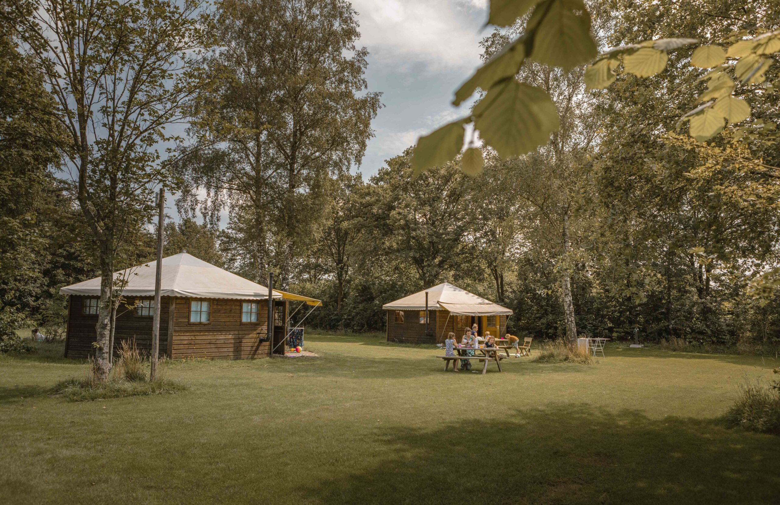 Boslodges op kampeerveld Boomgaard bij Lemeler Esch natuurcamping