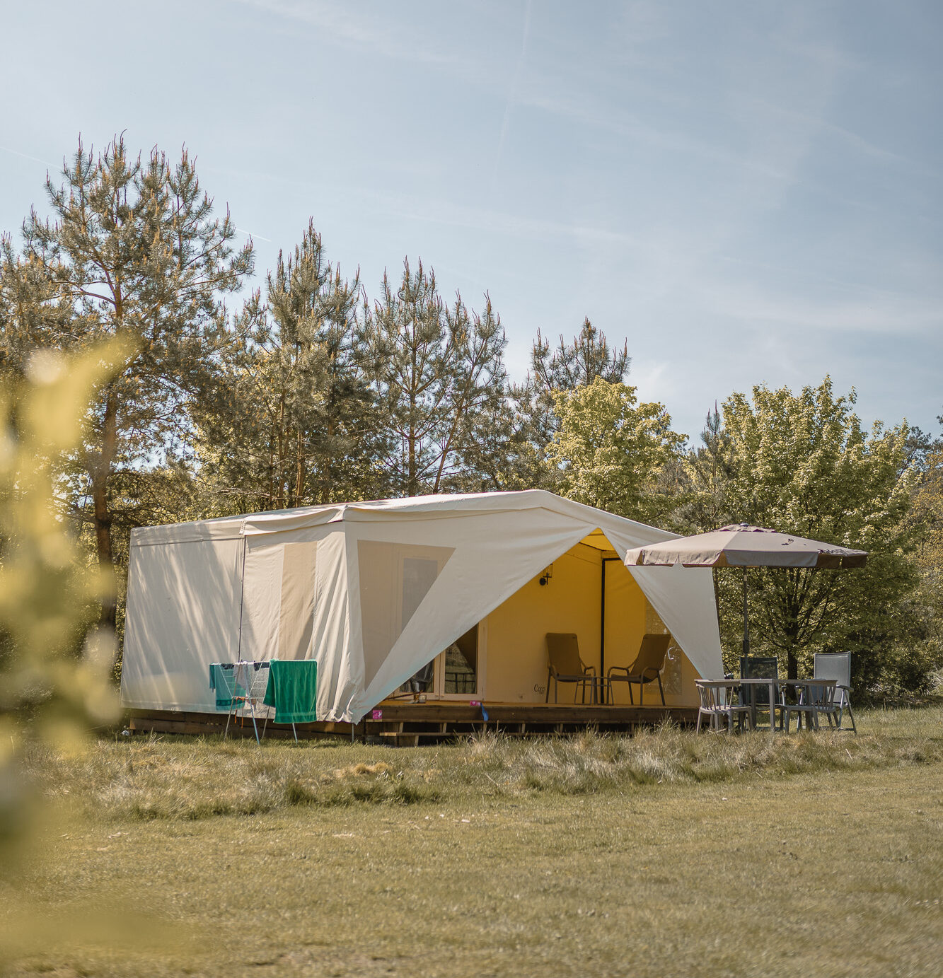De buitenkant van de Cocosweet Deluxe bij Lemeler Esch natuurcamping