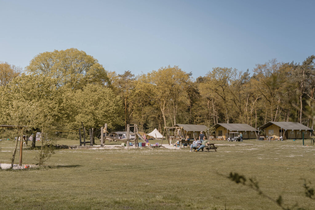 Zomer bij Lemeler Esch