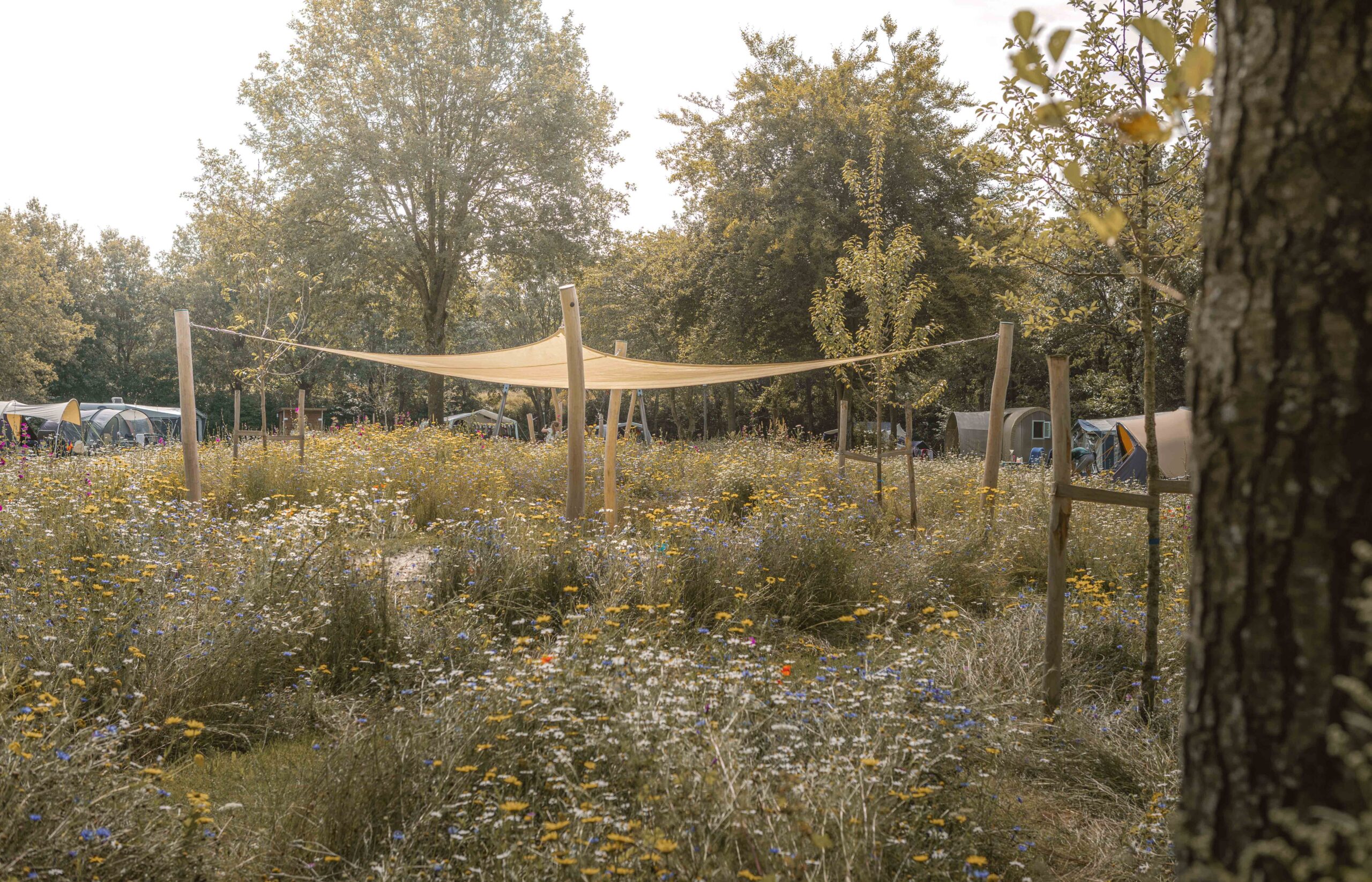 Speelzand op kampeerveld Bloemenweide van Lemeler Esch natuurcamping