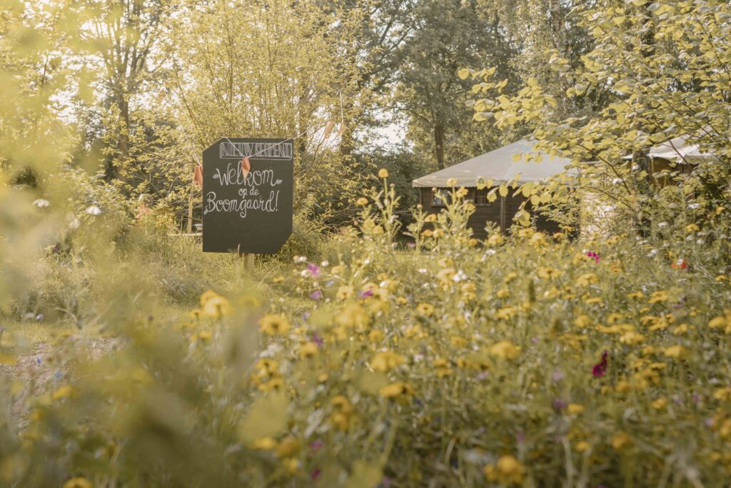 Het verhaal van de Boomgaard & Bloemenweide