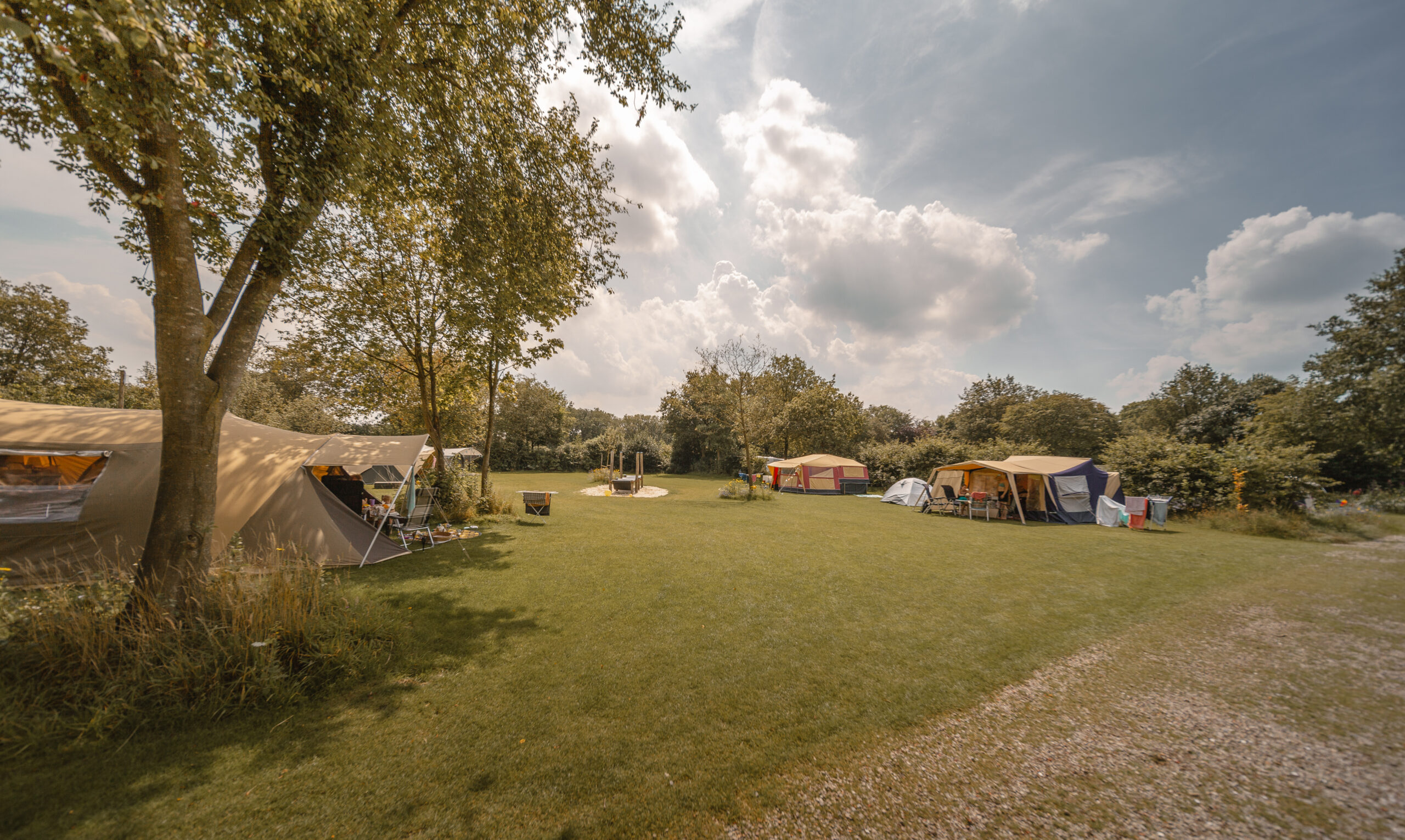 Tenten op kampeerveld Boomgaard bij Lemeler Esch natuurcamping