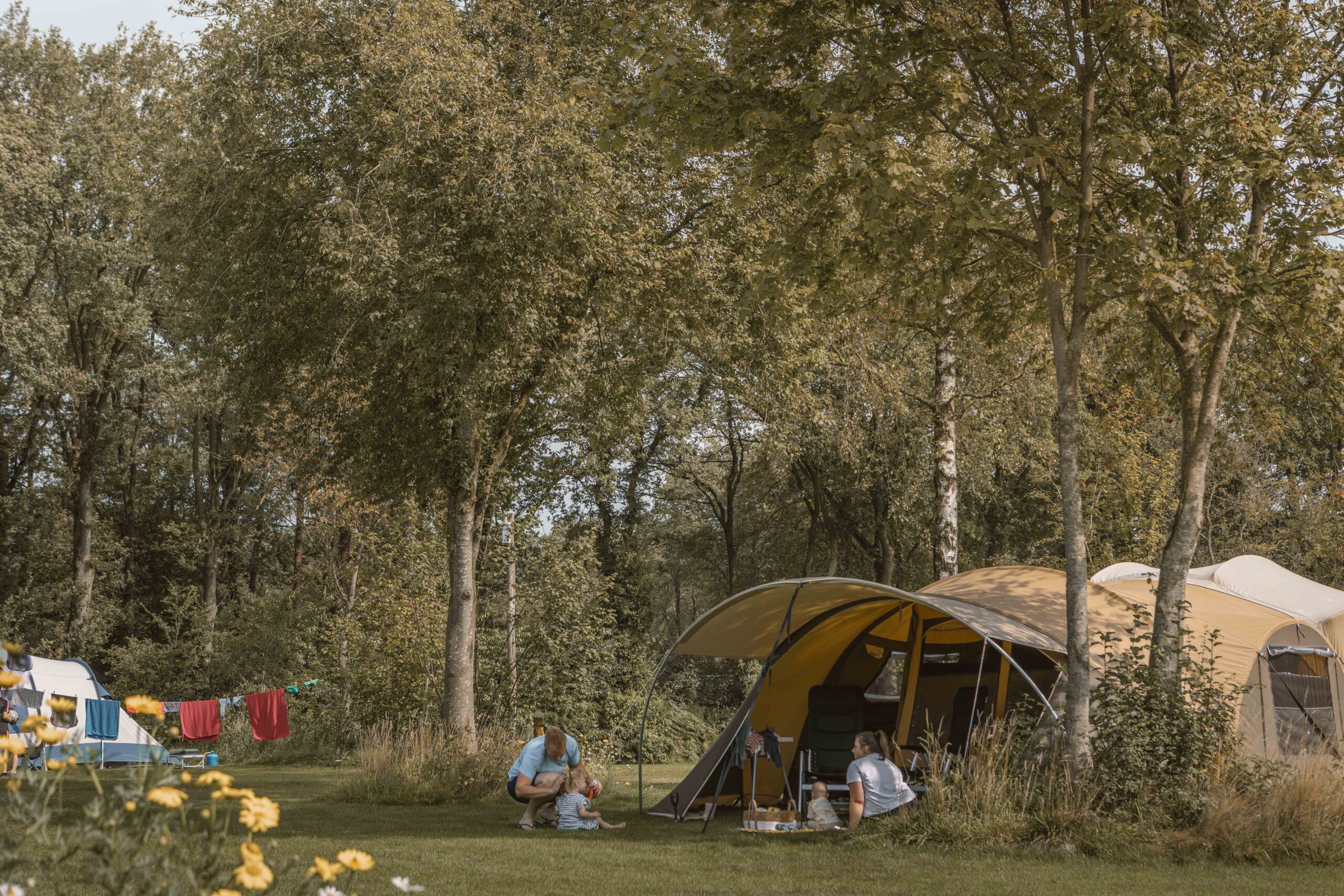 Gezin op kampeerveld Boomgaard bij Lemeler Esch natuurcamping in Overijssel