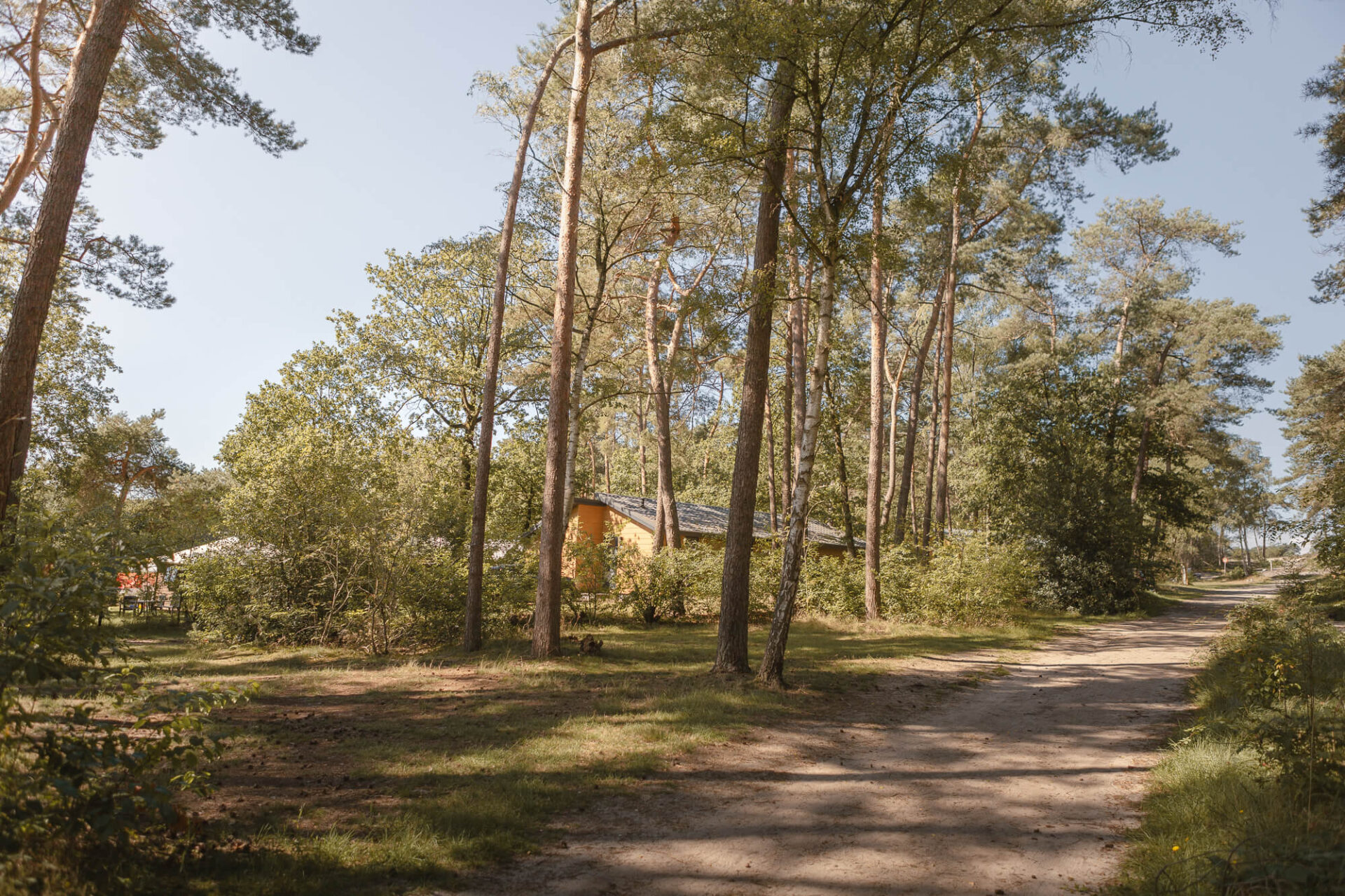 Kamperen aan de bosrand op de bosplaatsen bij Lemeler Esch natuurcamping