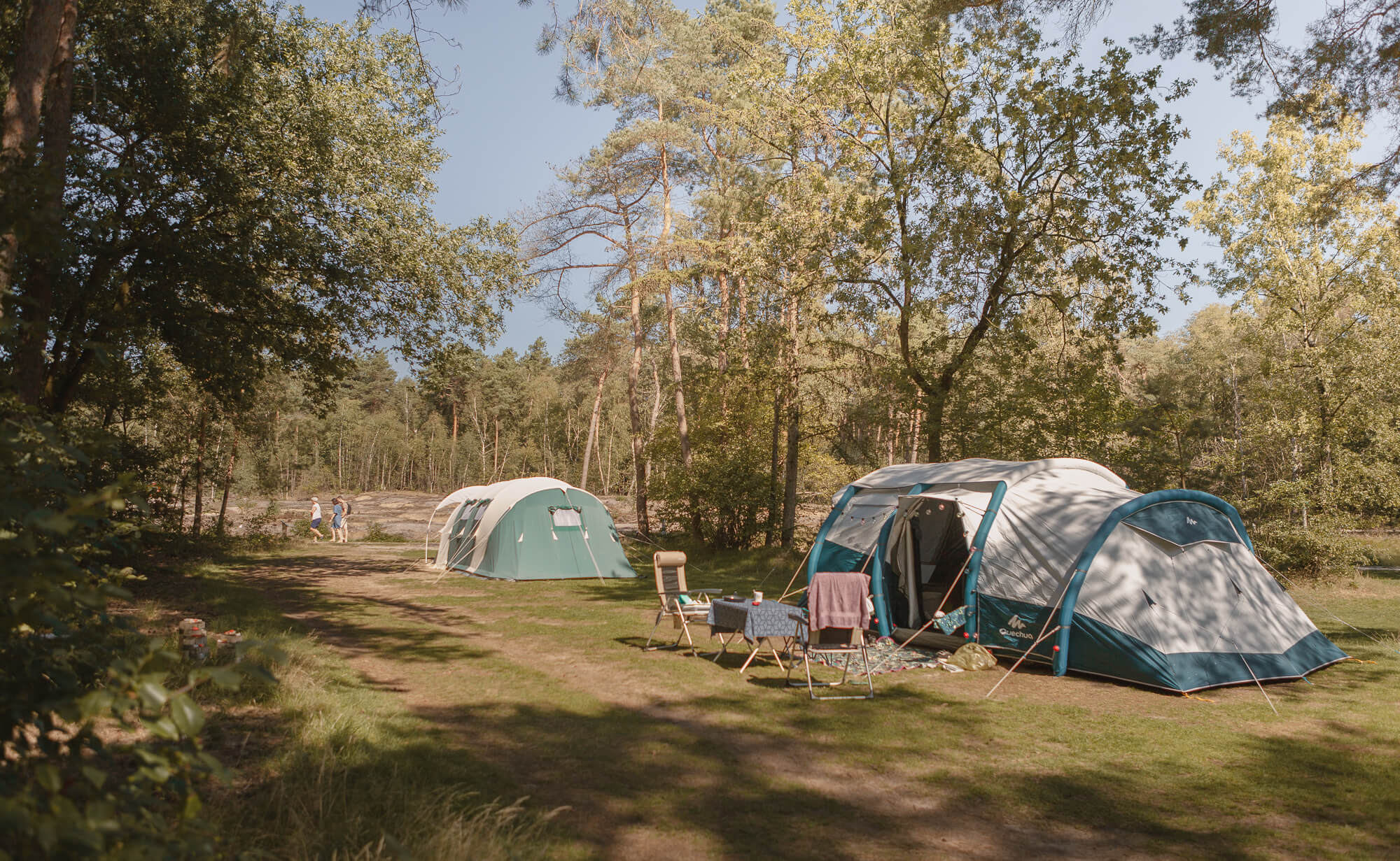 Twee tenten aan de bosrand bij Lemeler Esch natuurcamping in Overijssel