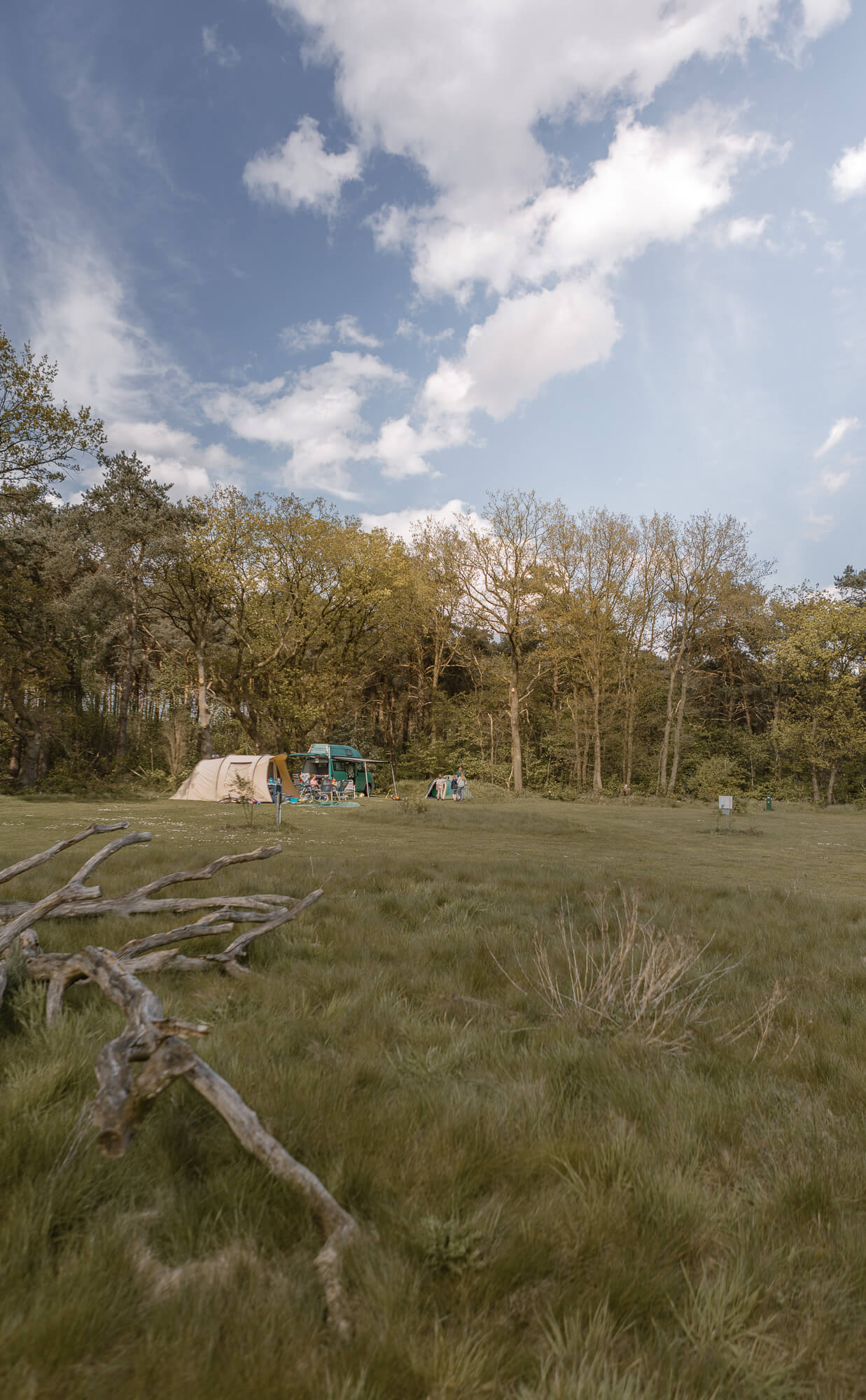 Gezin kampeert op kampeerveld Heidezicht bij Lemeler Esch natuurcamping