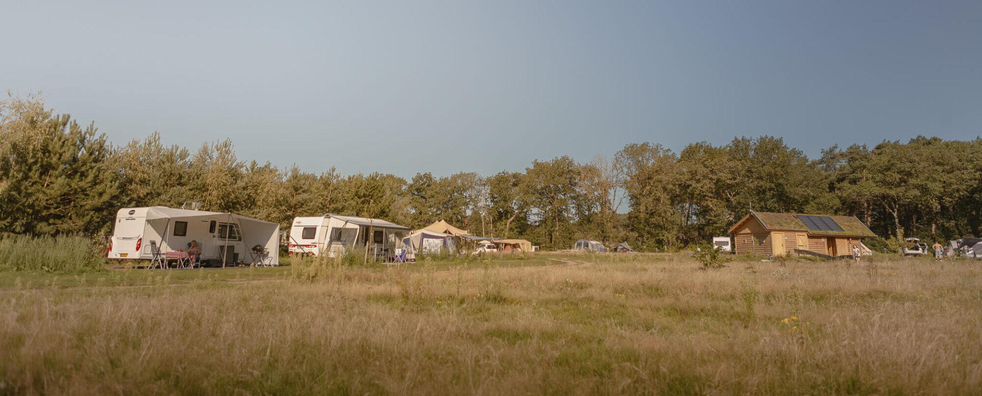 Kamperen op kampeerveld Heidezicht bij Lemeler Esch natuurcamping