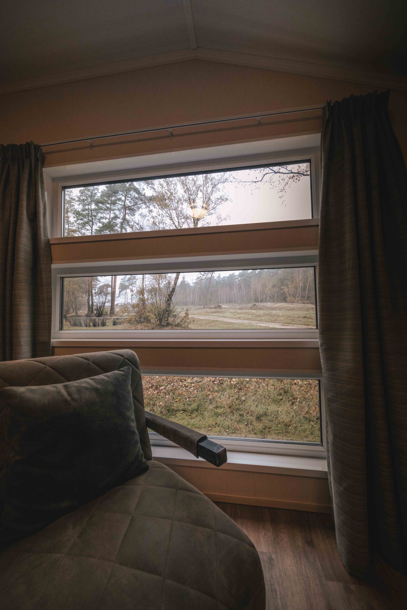 Uitzicht van de bungalow aan de bosrand bij Lemeler Esch natuurcamping