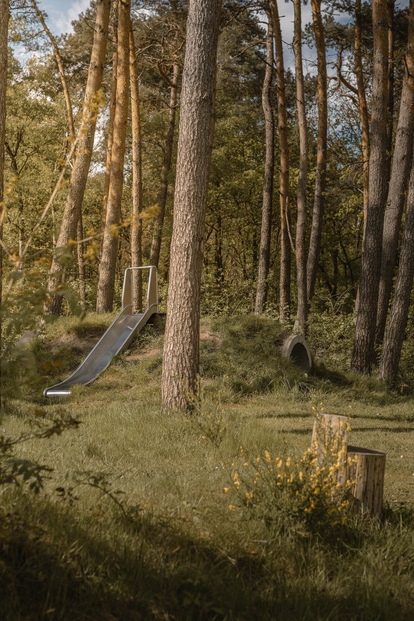 Speeltoestel dichtbij bungalow aan de bosrand bij Lemeler Esch natuurcamping