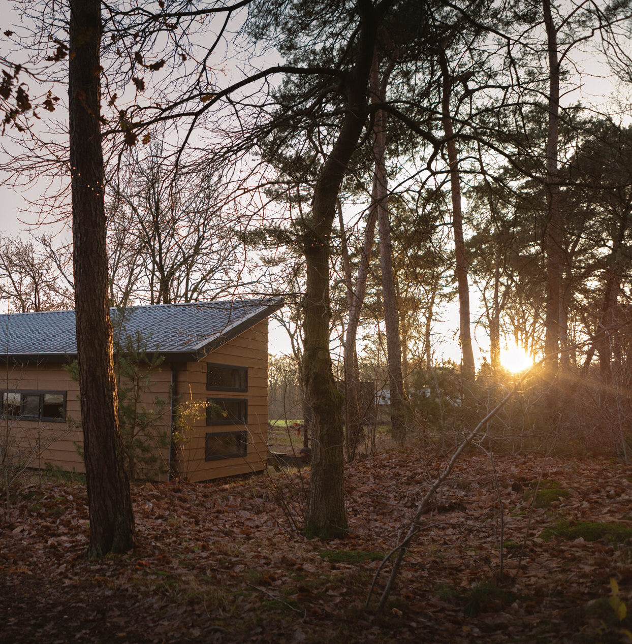 Buitenkant van bungalow aan de bosrand bij Lemeler Esch natuurcamping