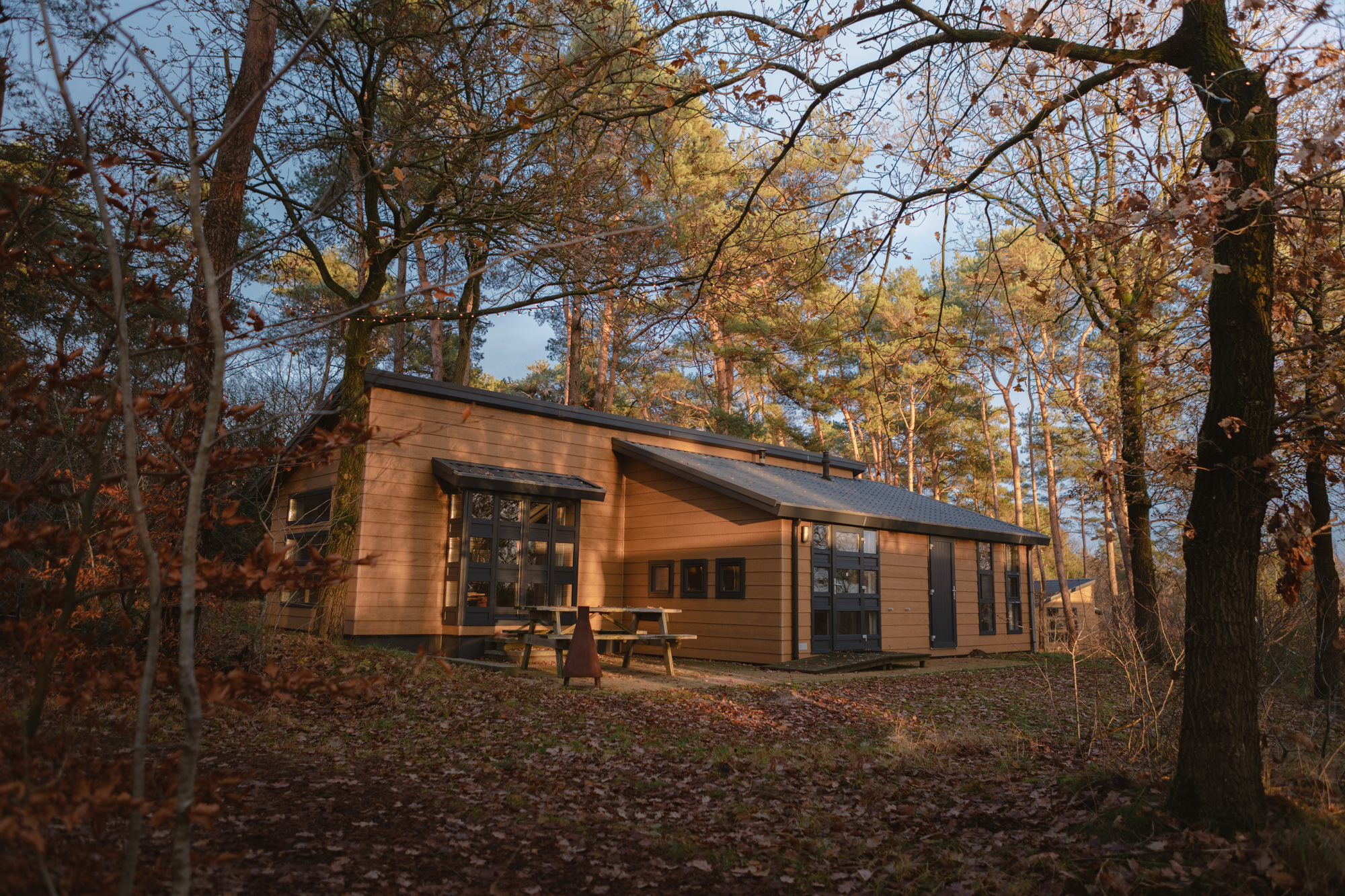 Buitenkant van bungalow aan de bosrand bij Lemeler Esch natuurcamping