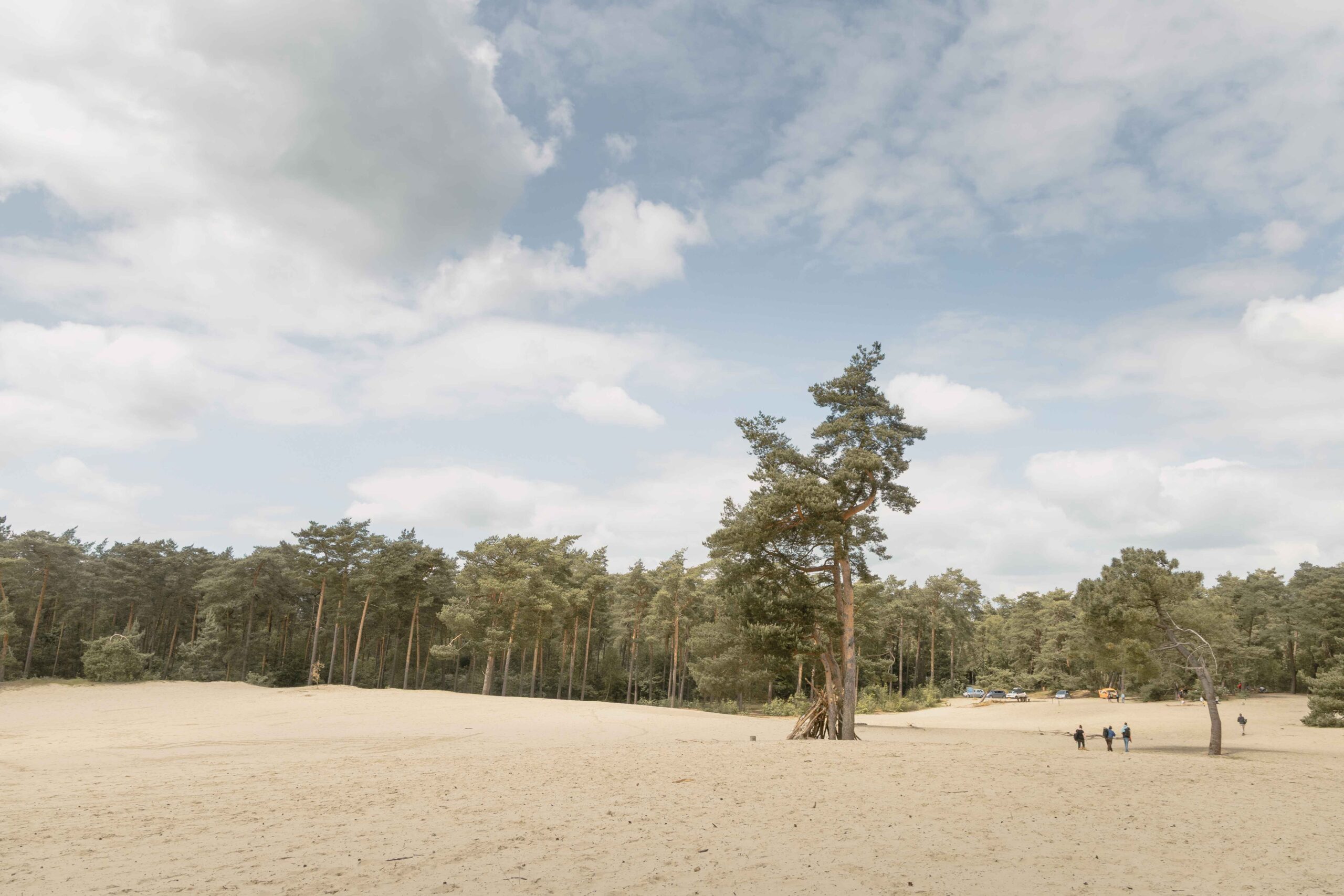 De zandverstuiving van de Sahara in Ommen in de omgeving van Lemeler Esch natuurcamping