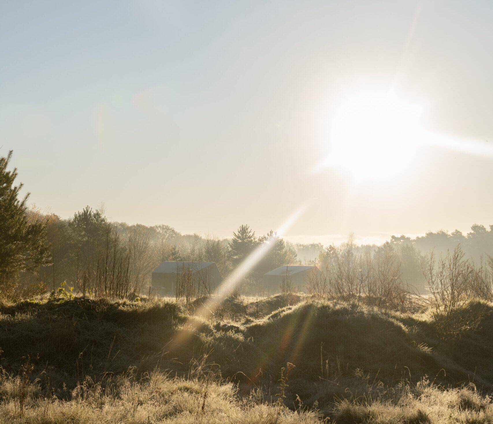 Trek-In natuurhuisje bij natuurcamping Lemeler Esch
