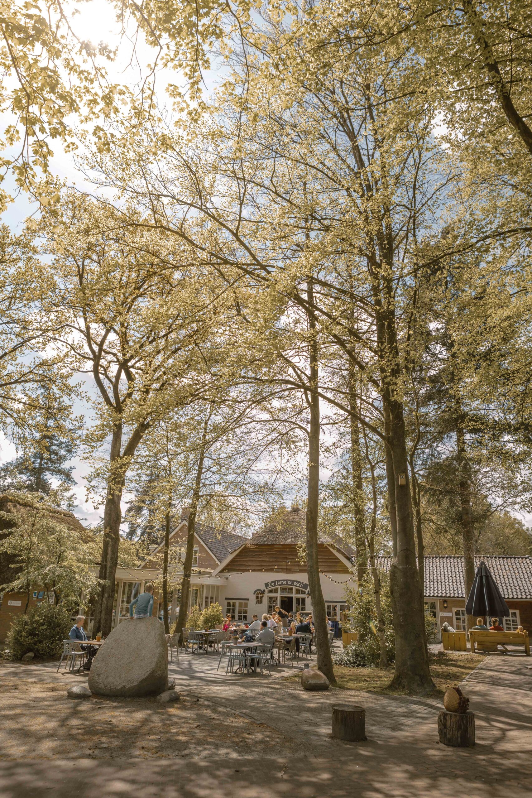 Het terras van Boscafé Lemeler Esch in de zomer