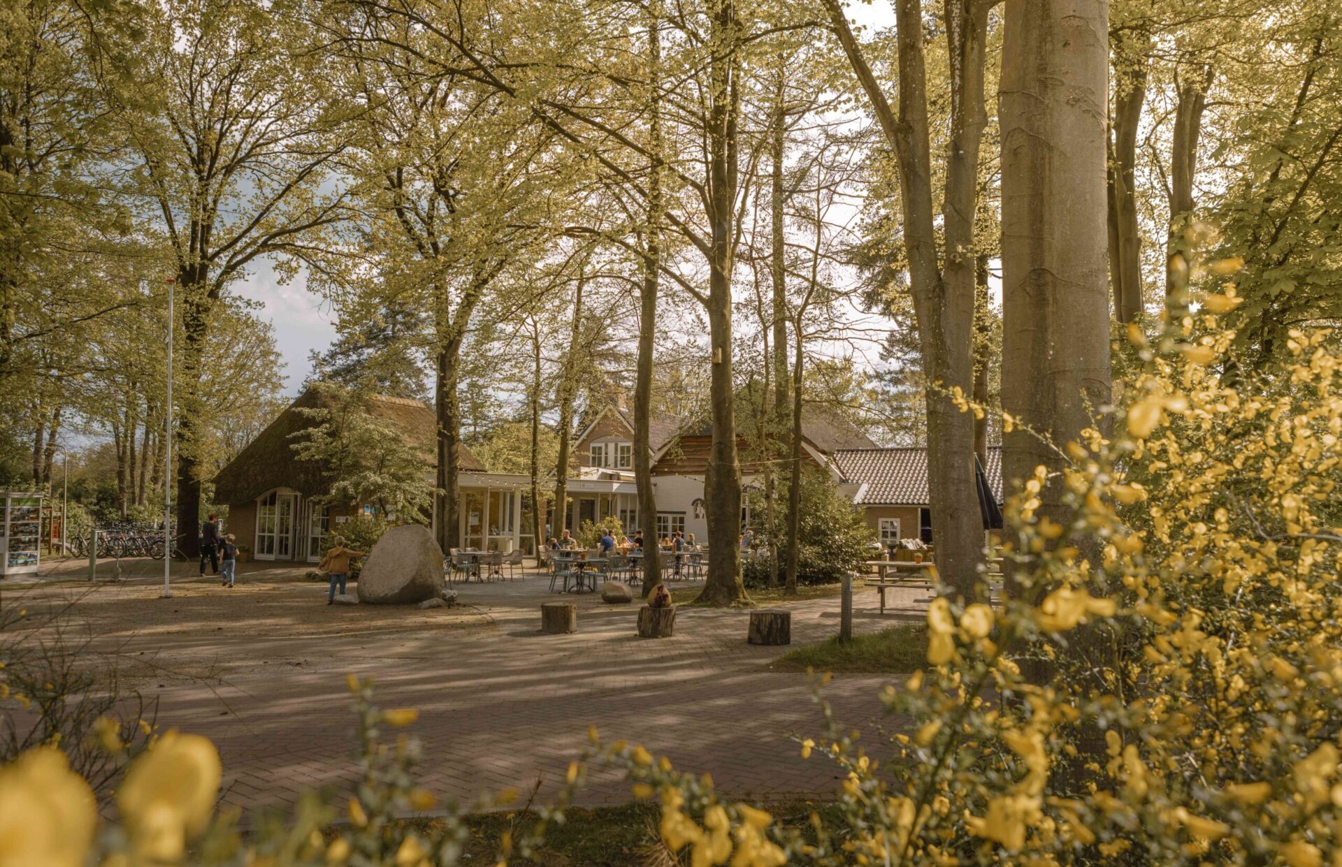 Terras van Boscafé Lemeler Esch in het najaar