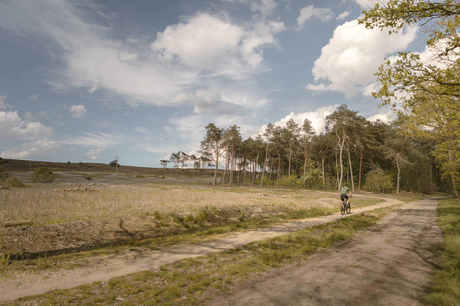 Mountainbiker op de route over de Lemelerberg bij Lemeler Esch