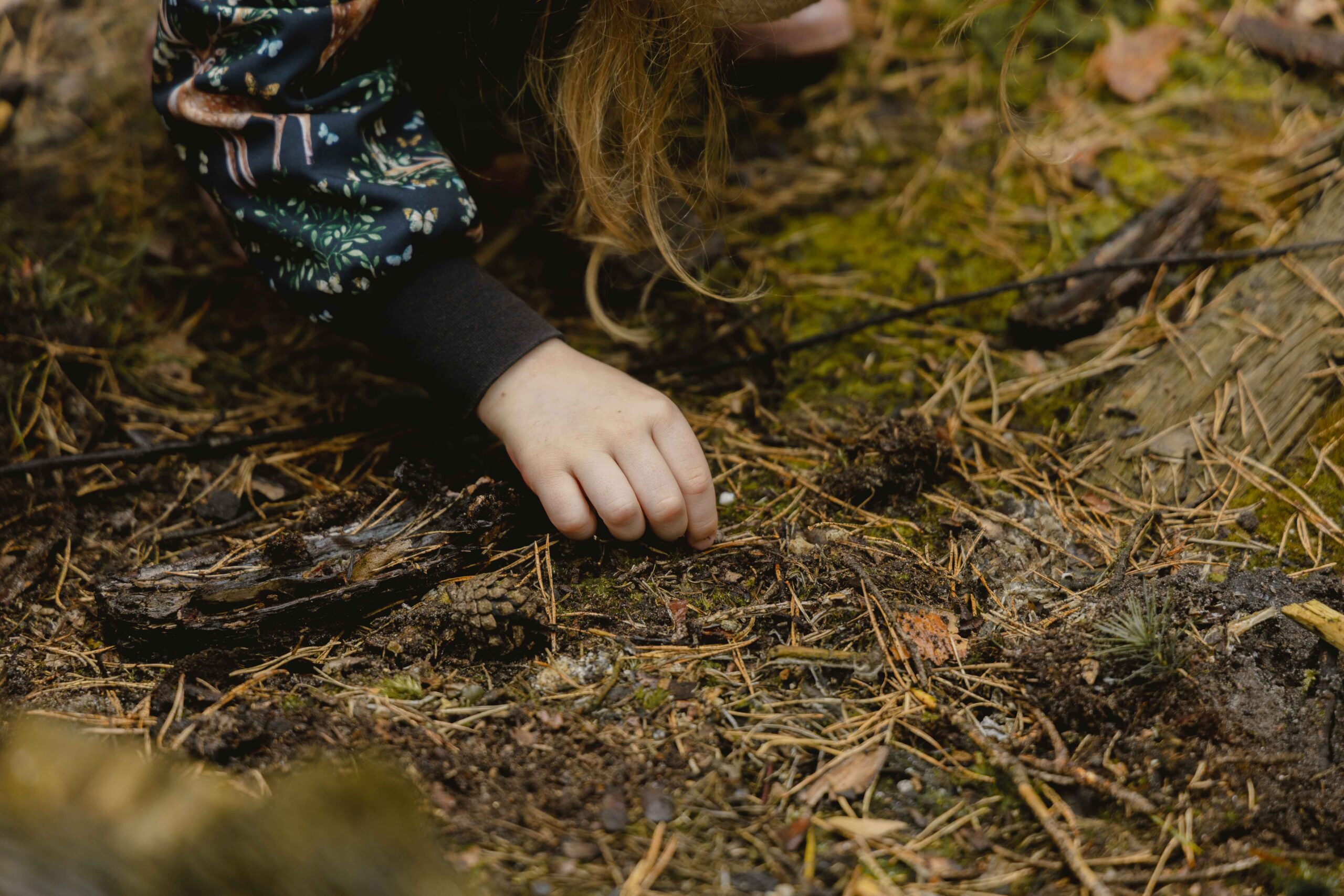 Speuren in het bos tijdens bosexcursie met bioloog Marijn bij Lemeler Esch