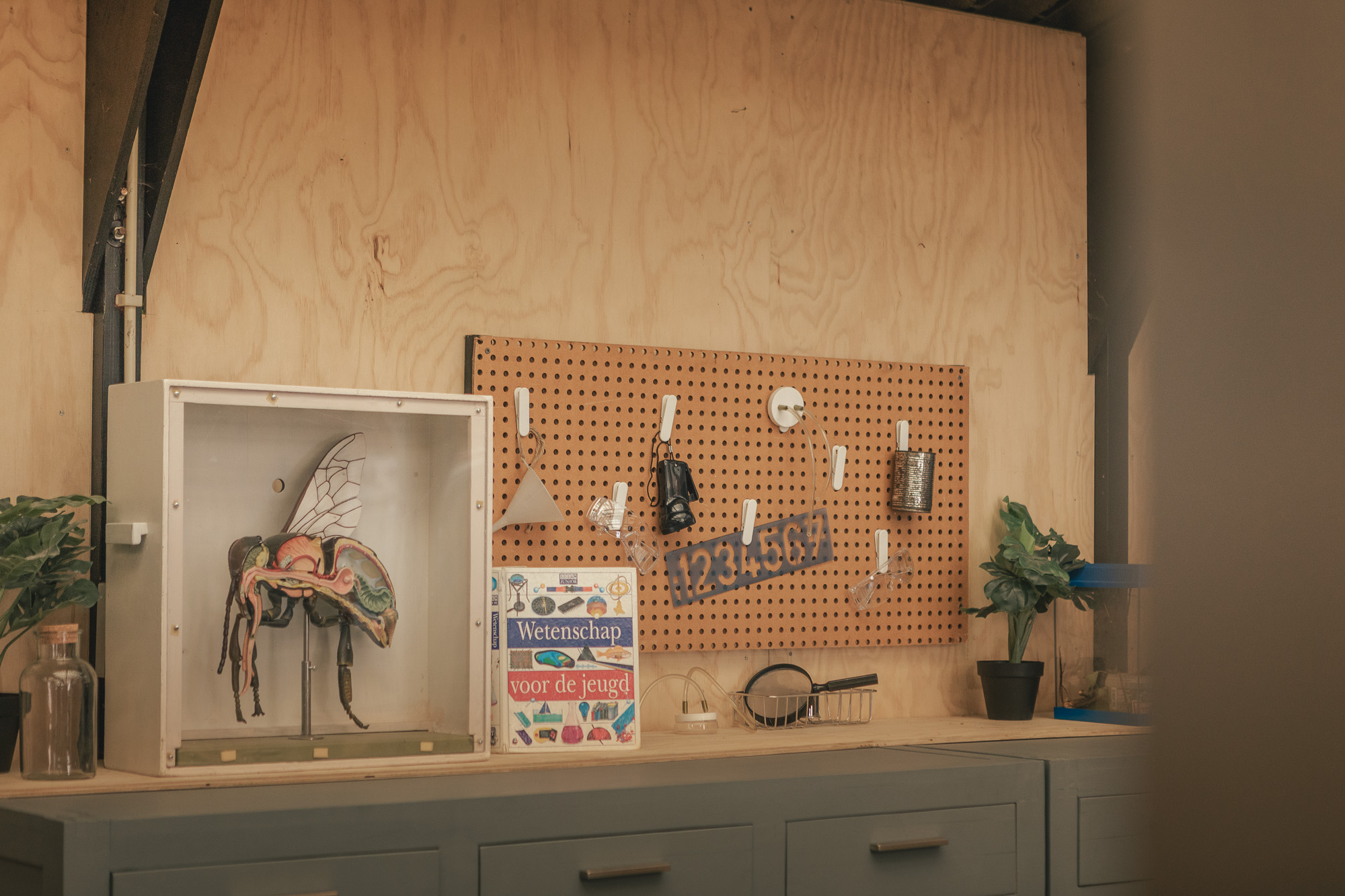 Natuurlab in de natuurschuur van Lemeler Esch