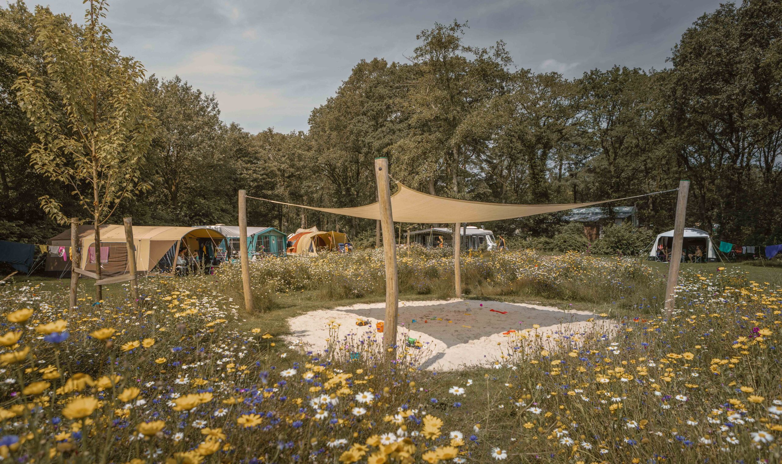 Speelzand op kampeerveld Bloemenweide bij Lemeler Esch natuurcamping in Overijssel