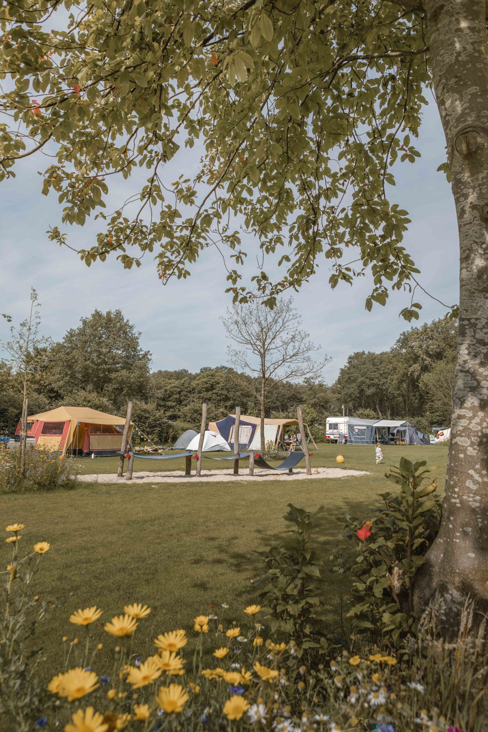Speeltoestel op kampeerveld Boomgaard bij Lemeler Esch natuurcamping in Overijssel