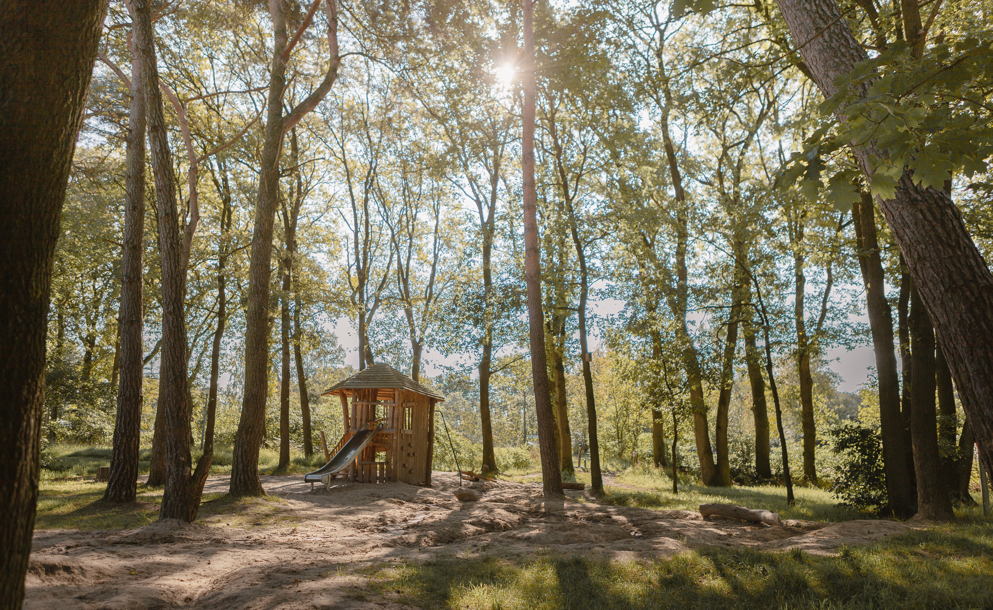 Glijbaan in speelbos bij Lemeler Esch kindvriendelijke natuurcamping in Overijssel