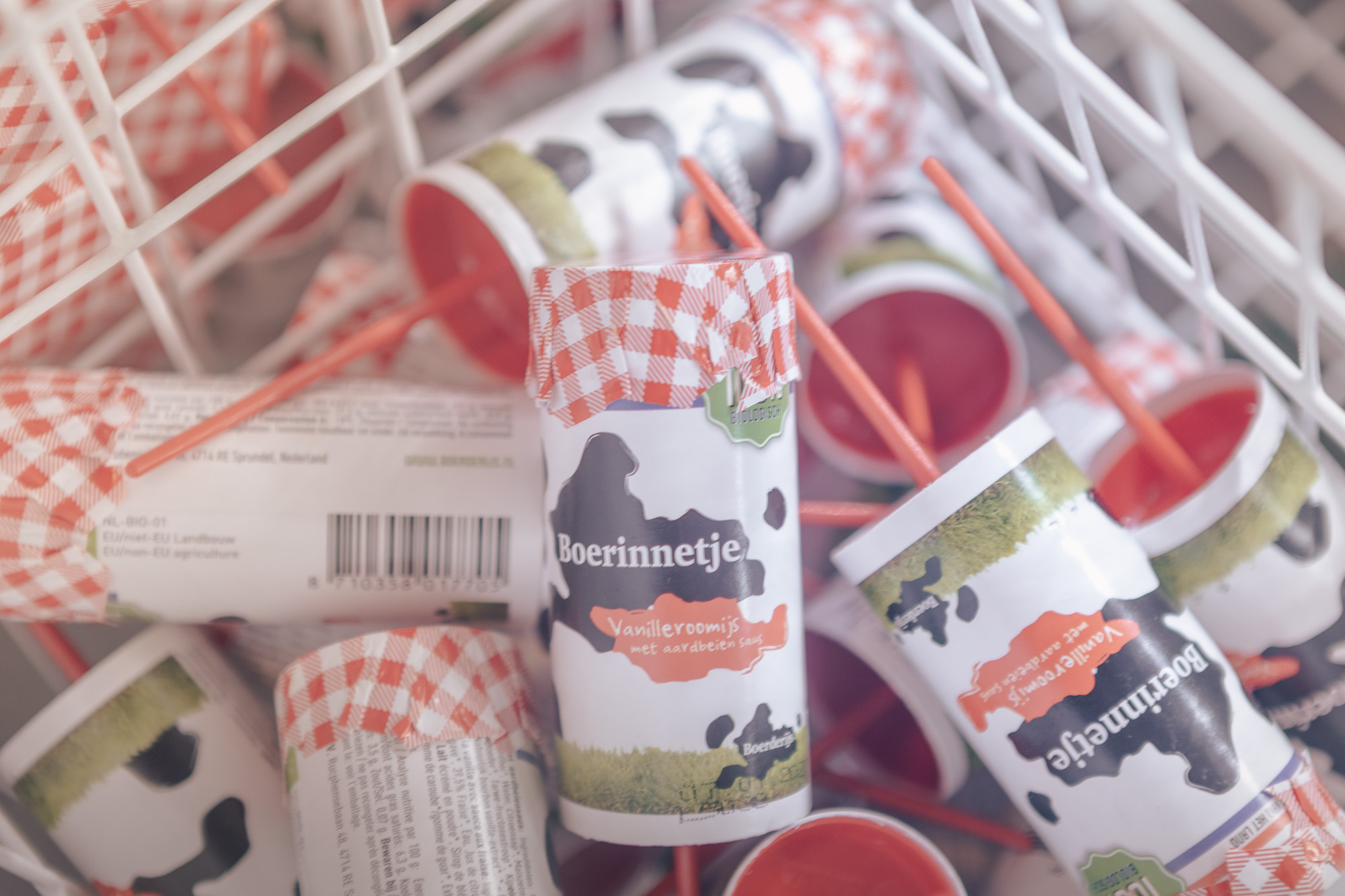 Biologische ijsjes in de streekwinkel van Lemeler Esch natuurcamping in Overijssel